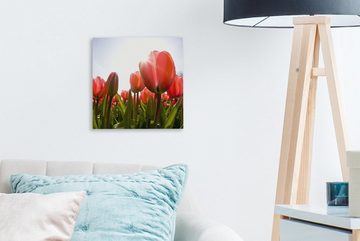 OneMillionCanvasses® Leinwandbild Blumen - Tulpen - Sonne, (1 St), Leinwand Bilder für Wohnzimmer Schlafzimmer