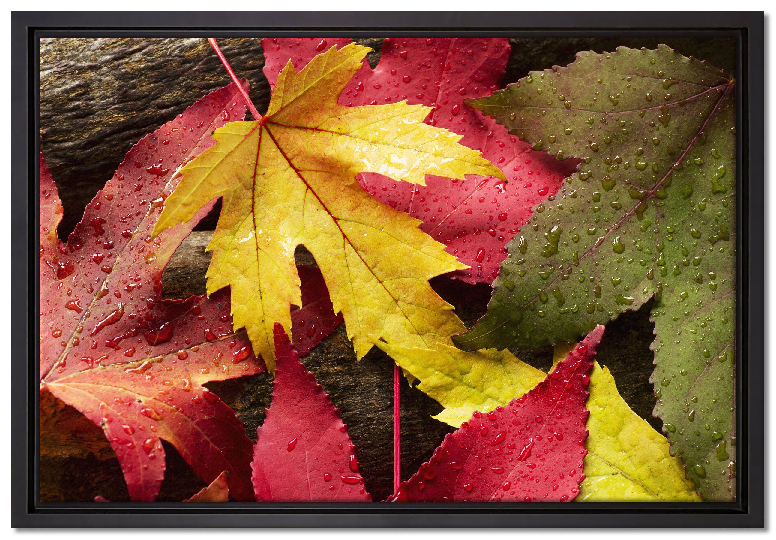 St), Herbstblätter, in inkl. Zackenaufhänger Pixxprint Wanddekoration Bunte Leinwandbild gefasst, Leinwandbild (1 fertig Schattenfugen-Bilderrahmen bespannt, einem