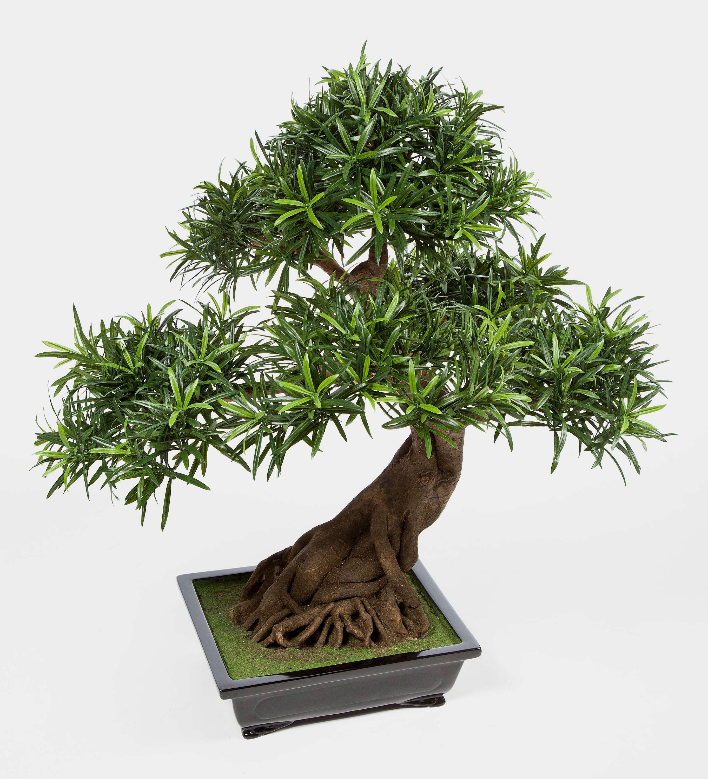 Kunstbonsai Deko Bonsai Podocarpus in Schale, Deluxe, 3830 Blätter, 85cm Steineibe, artplants, Höhe 85.0 cm