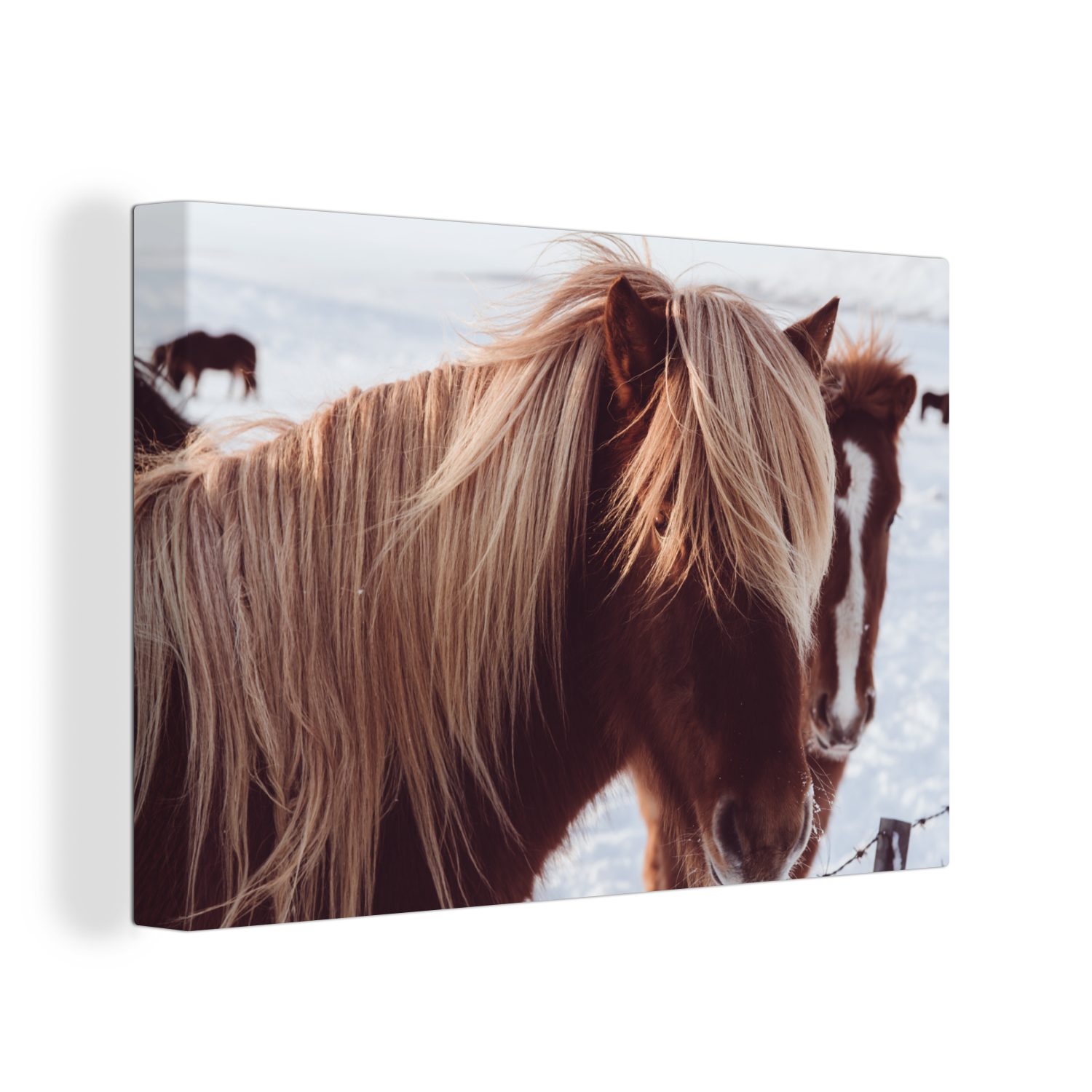 Leinwandbild Aufhängefertig, - Braun, (1 Leinwandbilder, St), Wanddeko, Schnee - cm 30x20 Pferde OneMillionCanvasses® Wandbild