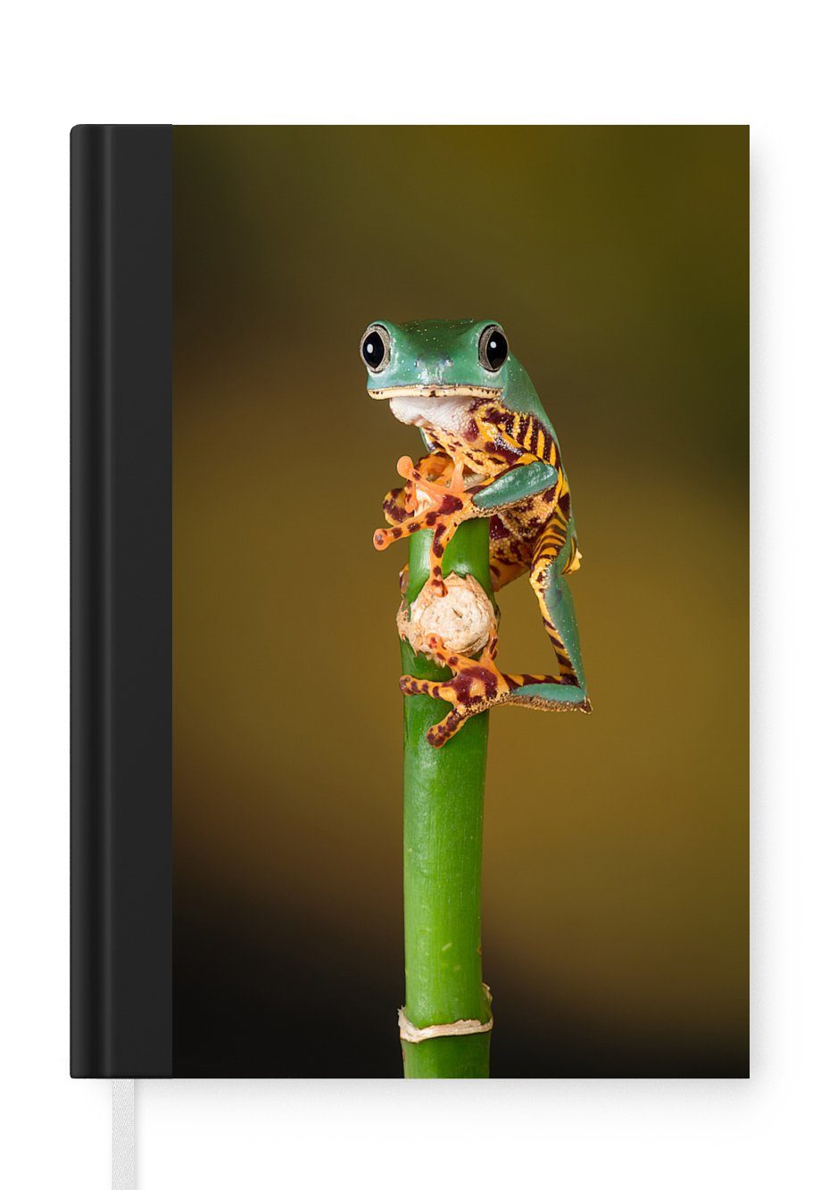 MuchoWow Notizbuch Frosch auf grüner Pflanze, Nahaufnahme, Journal, Merkzettel, Tagebuch, Notizheft, A5, 98 Seiten, Haushaltsbuch
