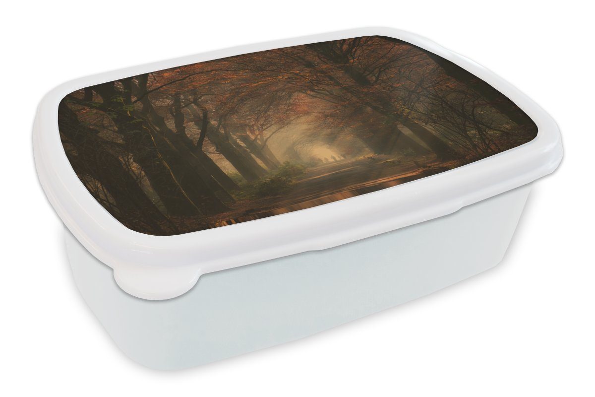 MuchoWow Lunchbox Waldweg - Herbst - Wald - Bäume und Pflanzen - Natur, Kunststoff, (2-tlg), Brotbox für Kinder und Erwachsene, Brotdose, für Jungs und Mädchen weiß