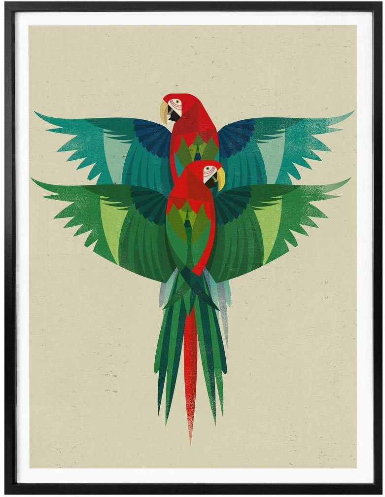 Papageien Ara, Wandbild, Wall-Art Poster Poster, St), (1 Bild, Wandposter