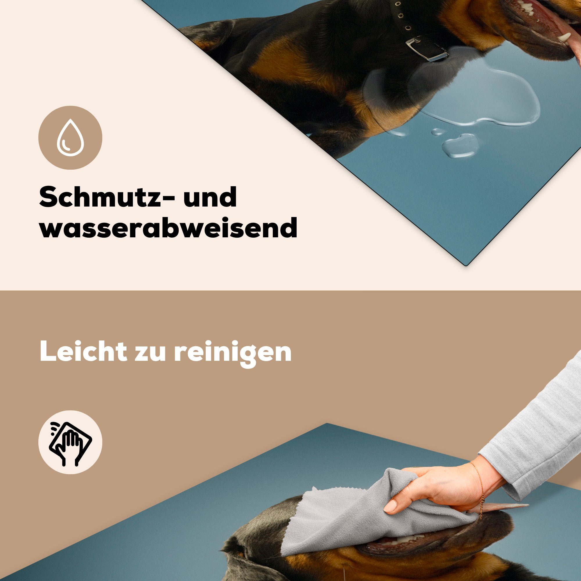 eines Vinyl, Ceranfeldabdeckung, Herdblende-/Abdeckplatte auf cm, Studiofoto küche tlg), blauem für (1 MuchoWow Rottweilers Arbeitsplatte 78x78 Hintergrund,