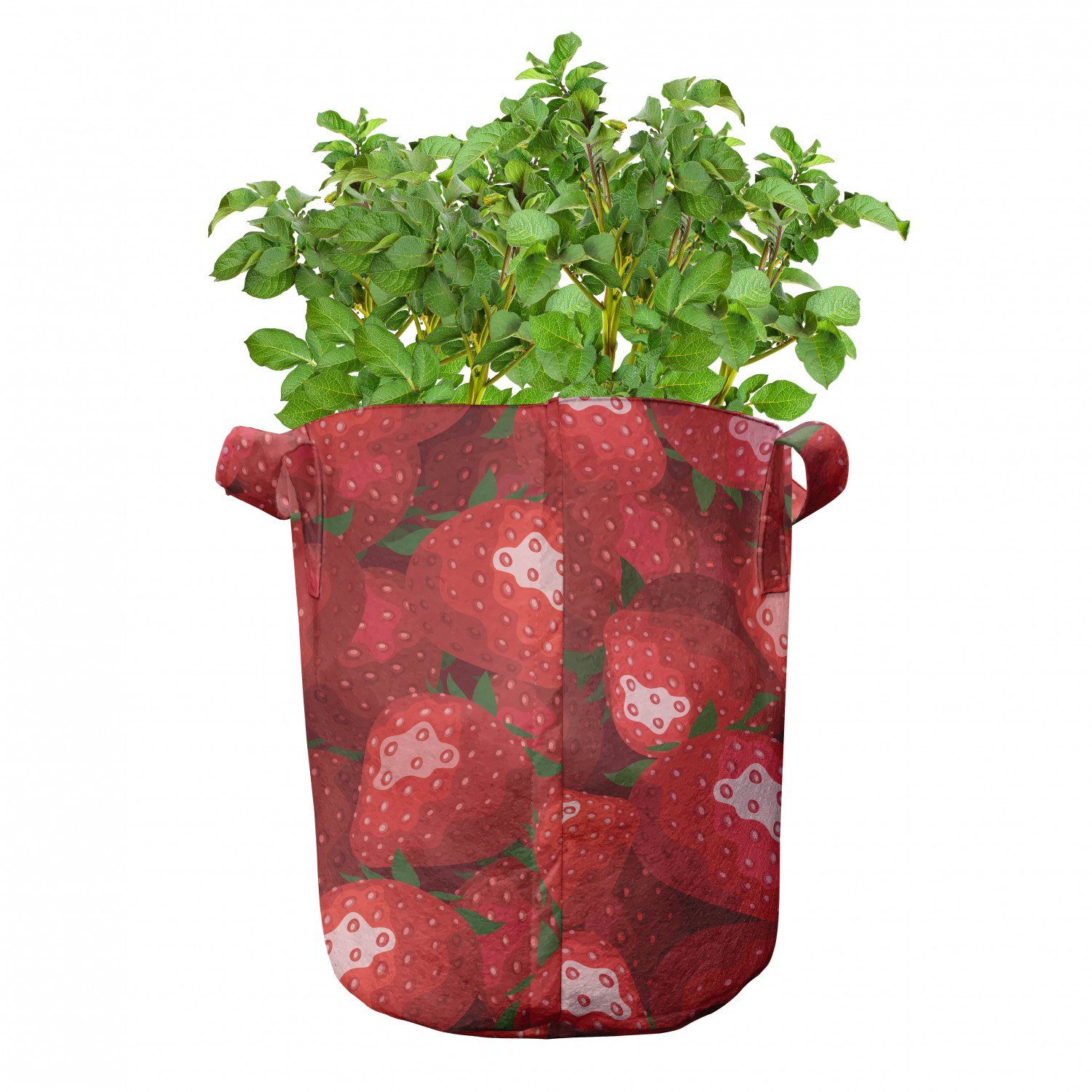 Pflanzkübel mit Pflanzen, Griffen Erdbeeren Abakuhaus rot Reife Stofftöpfe hochleistungsfähig Früchte für