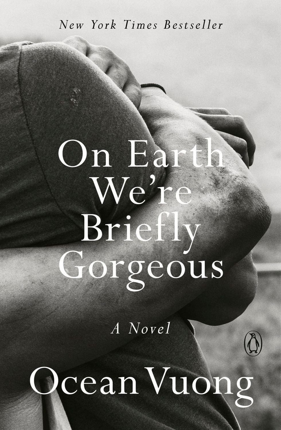 On Earth We're Briefly Gorgeous / Ocean Vuong