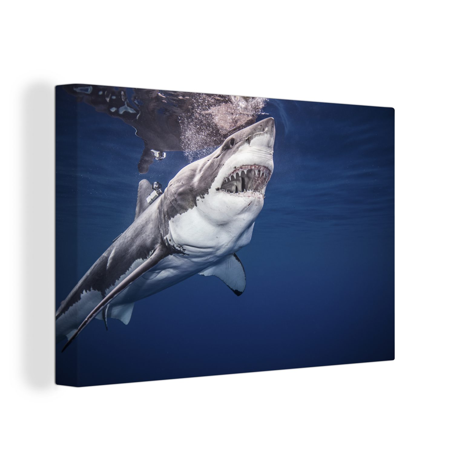 (1 Leinwandbild Hai, Wanddeko, Menschlicher Wandbild Aufhängefertig, 30x20 OneMillionCanvasses® cm St), Leinwandbilder,