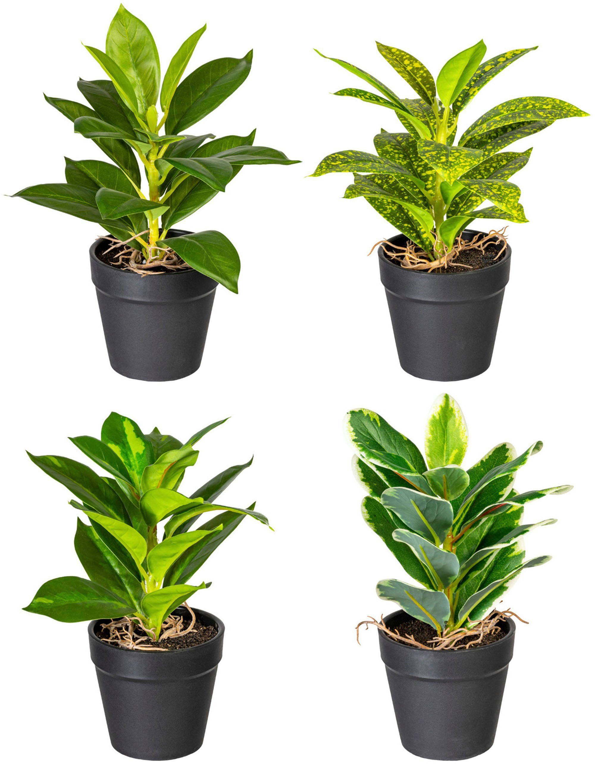 Künstliche Zimmerpflanze Grünpflanzen-Mix Grünpflanze, Creativ green, Höhe  20 cm, im 4er Set
