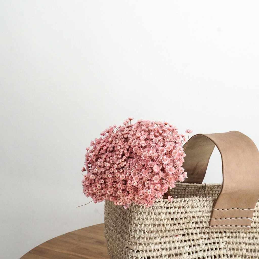 Trockenblume Glixia in Vielfalt: Farbenprächtige Trockenblumen für ein krea günstig online kaufen