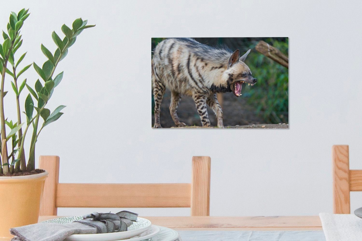 OneMillionCanvasses® cm St), Wandbild Leinwandbilder, (1 30x20 Pflanzen, Wanddeko, - Leinwandbild Hyäne Aufhängefertig,