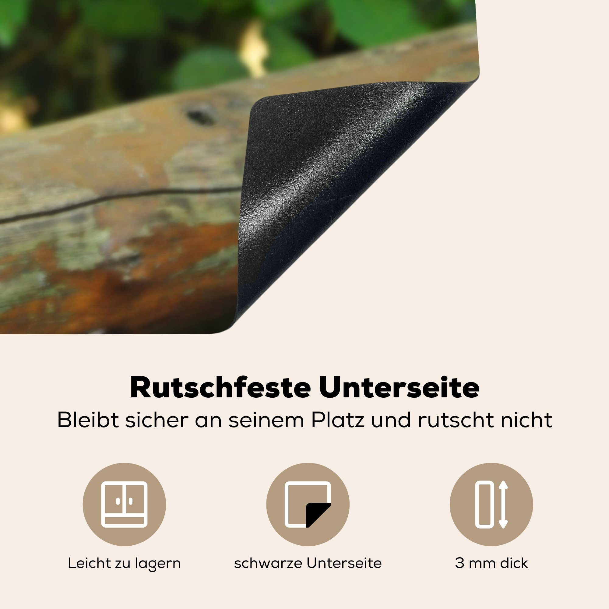 MuchoWow Herdblende-/Abdeckplatte Ein Tukan Schutz Baumstamm, sitzt 81x52 Vinyl, die für einem Induktionskochfeld tlg), Ceranfeldabdeckung küche, auf cm, (1