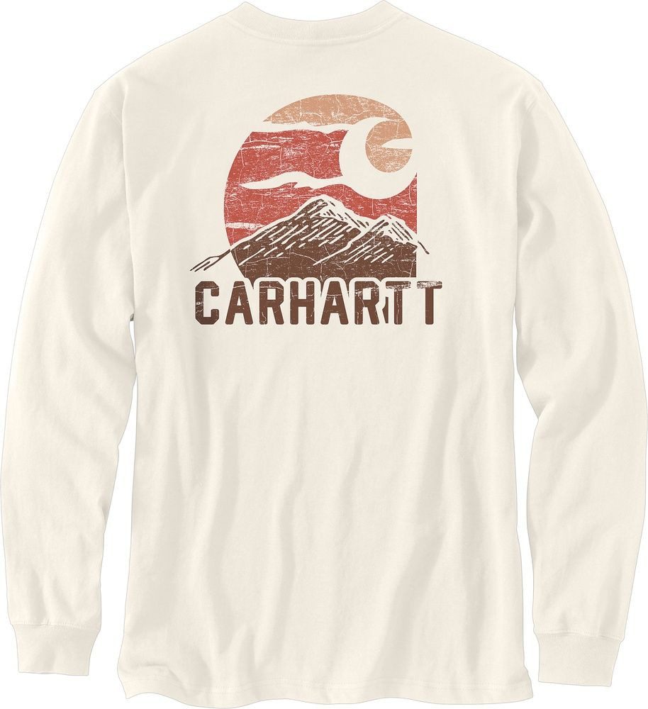 Carhartt T-Shirt Mountain Graphic 107260 günstig online kaufen