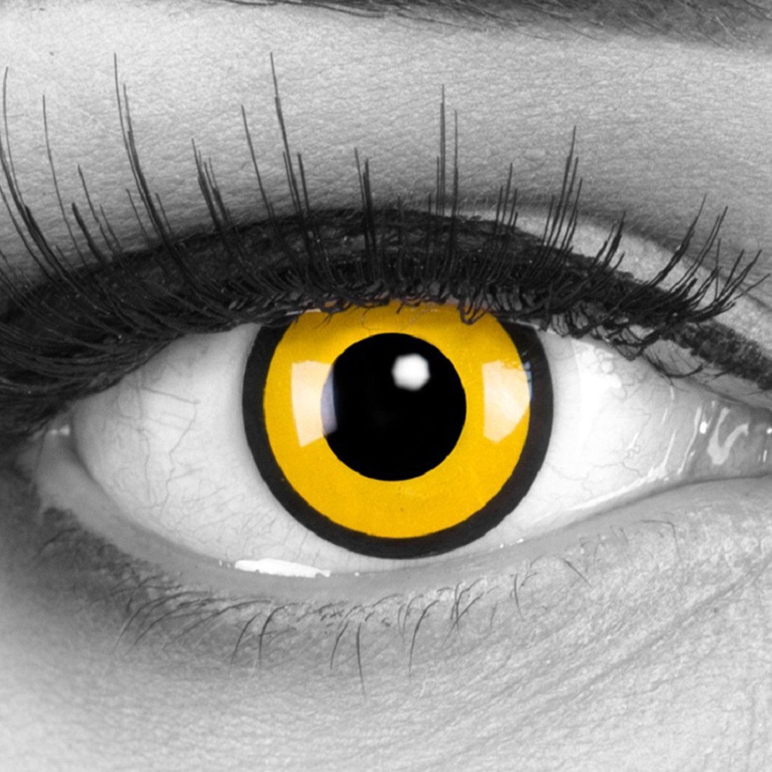 MeralenS Jahreslinsen gelbe 'Black Yellow' Manga Fun Linsen 1 Paar. Halloween & Cosplay