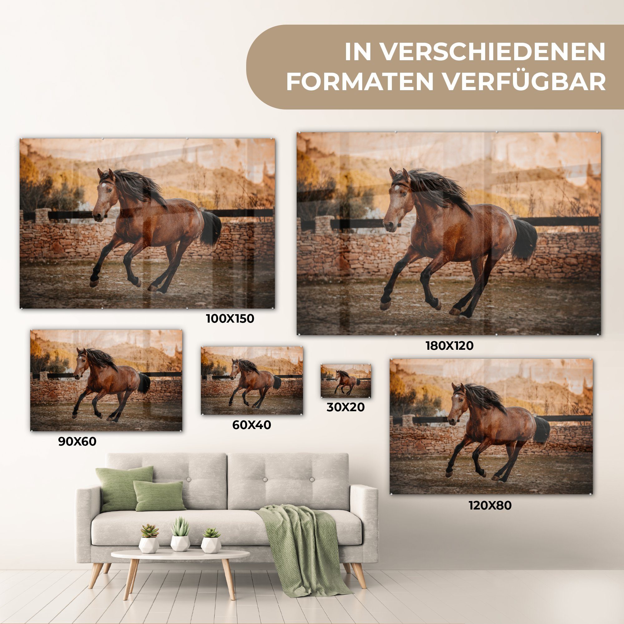 Pferd Wohnzimmer Braun Acrylglasbild MuchoWow - Acrylglasbilder & Stein, Schlafzimmer (1 St), -