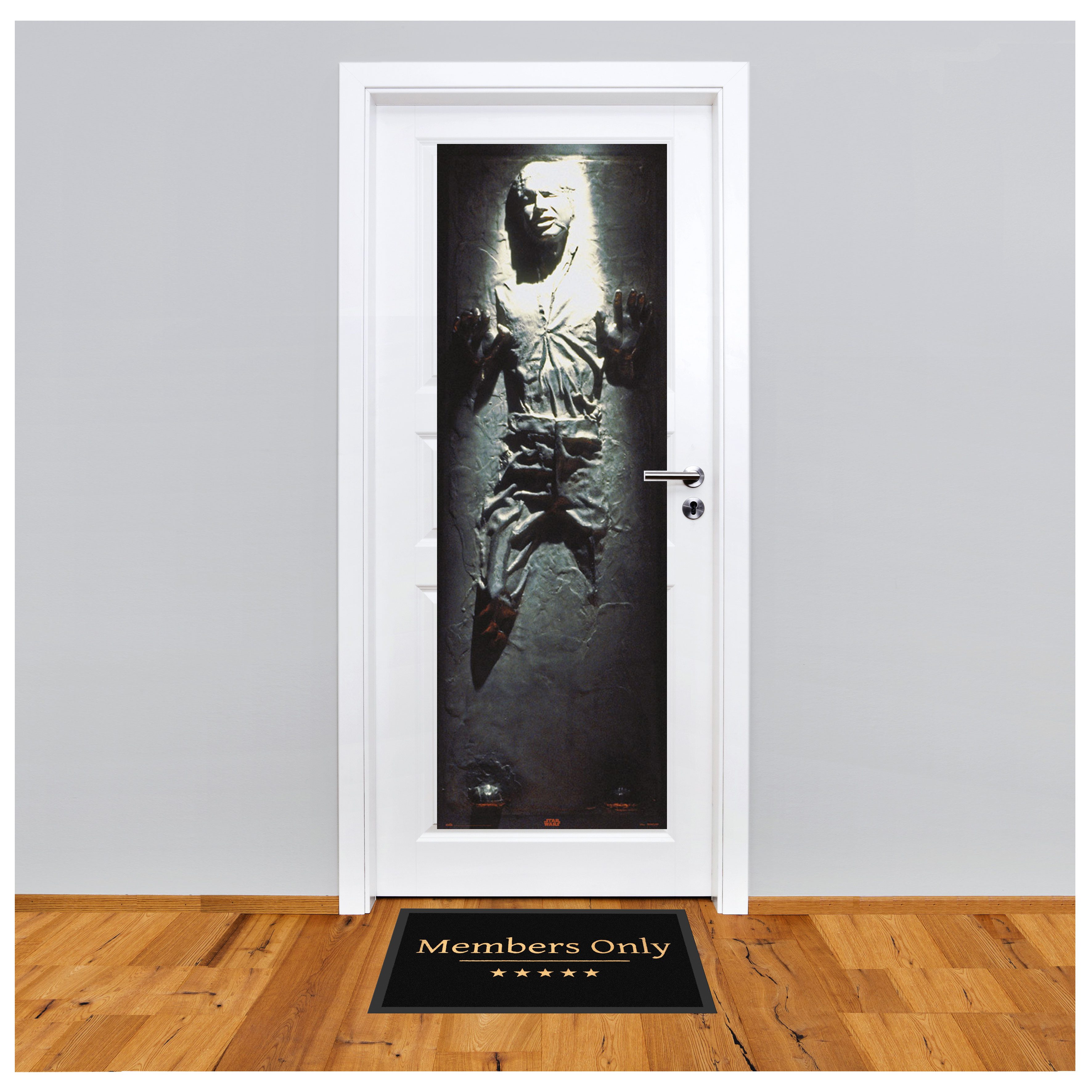 Poster Star Wars - Türposter - Han Solo - Carbonite