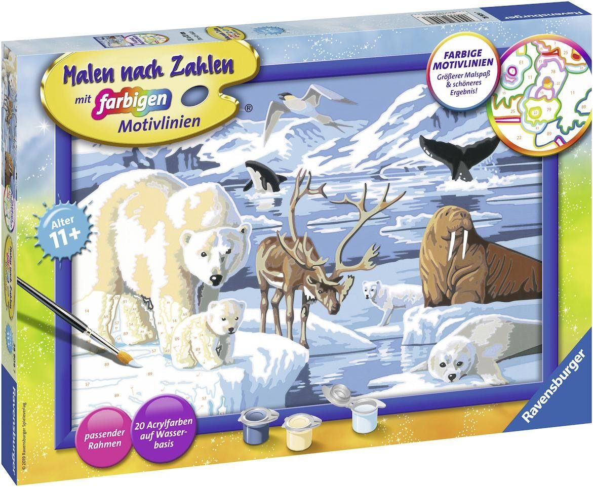 Ravensburger Malen nach Zahlen Tiere der Arktis, Made in Europe