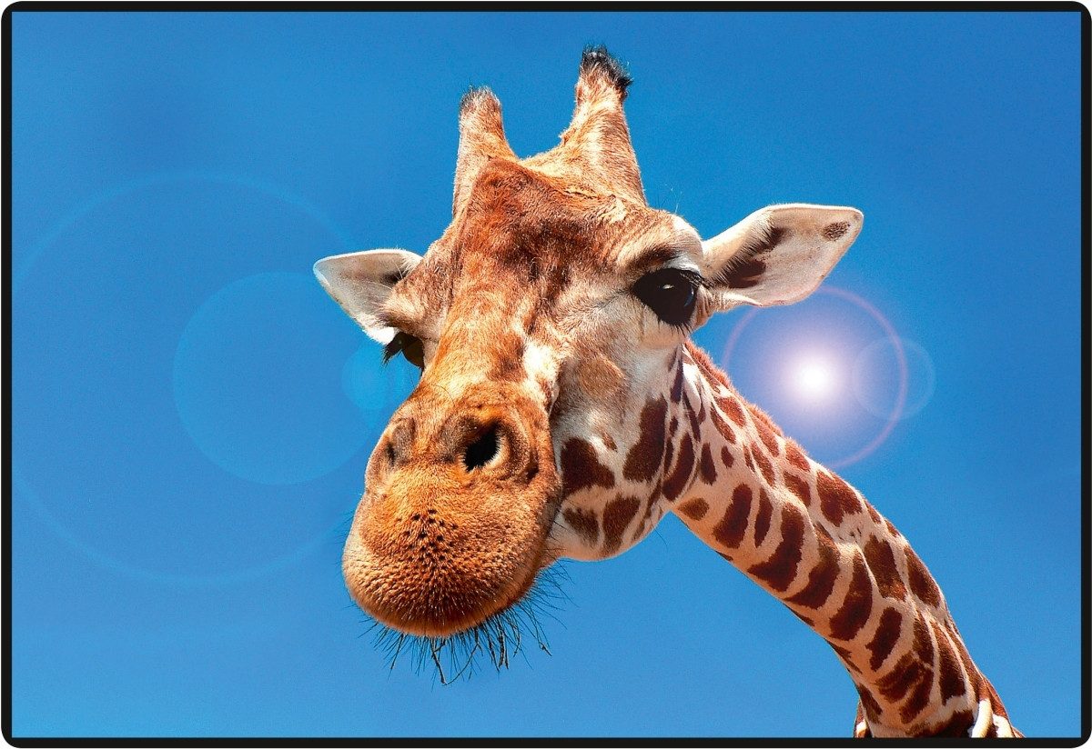 Hansa - World of Office Schreibtischunterlage Schreibunterlage Mini-PosterPad Giraffe 50x 34cm