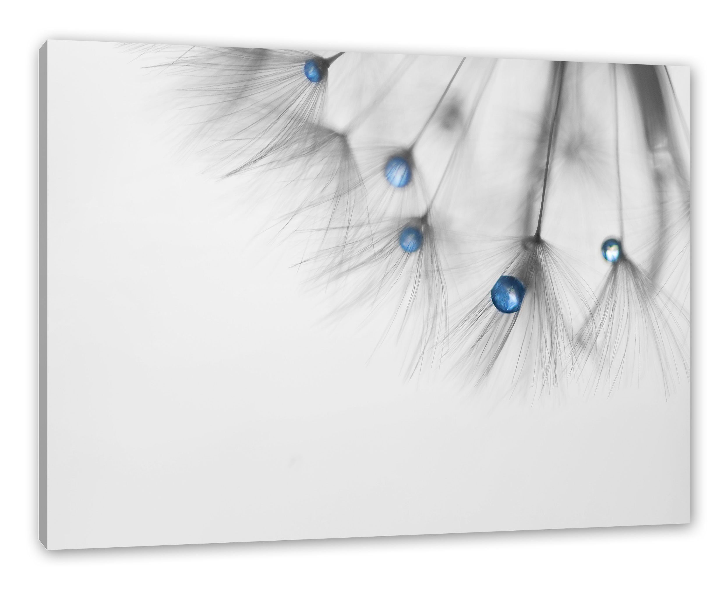 Leinwandbild fertig Pixxprint Wassertropfen (1 Leinwandbild inkl. Pusteblume Pusteblume St), bespannt, Zackenaufhänger Wassertropfen,