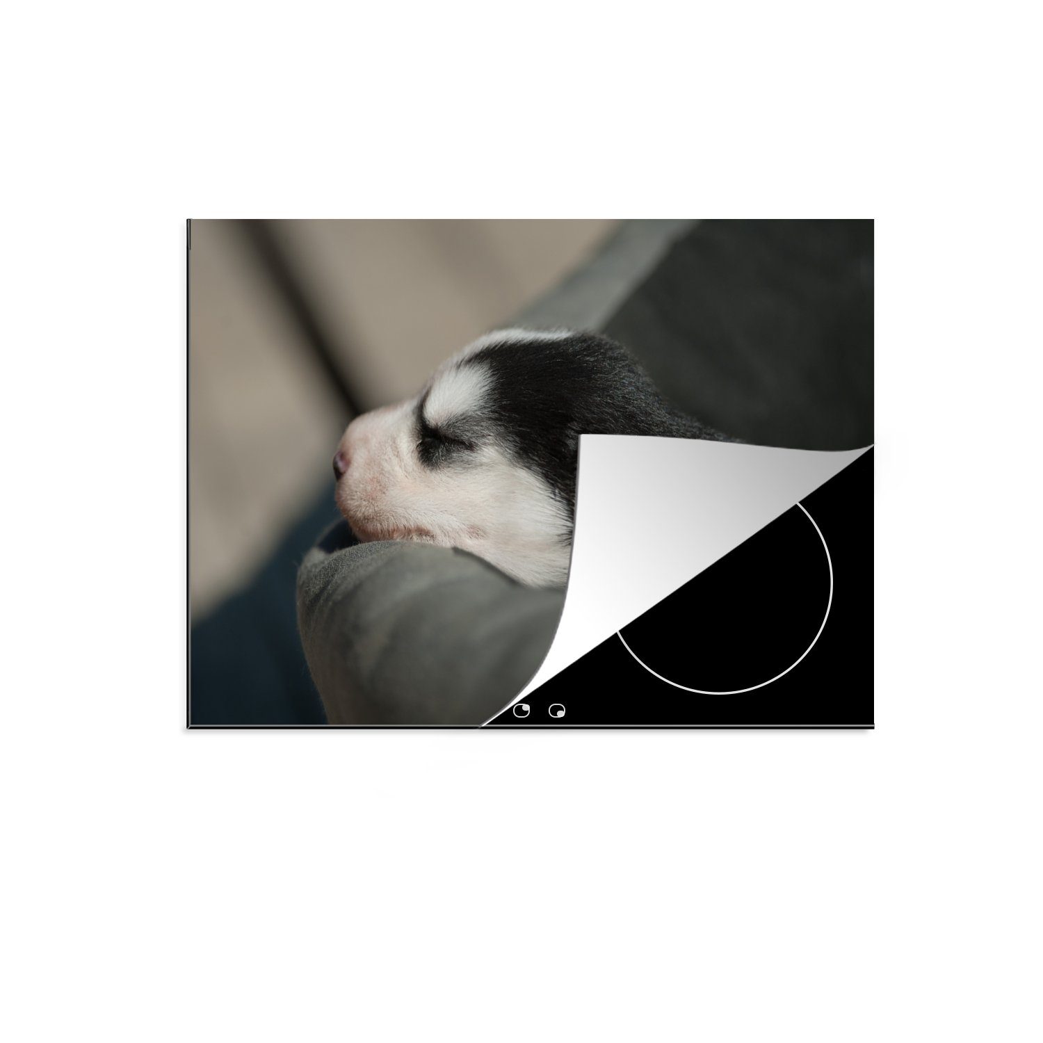 MuchoWow Herdblende-/Abdeckplatte Schlafender Hund auf dem Sofa, Vinyl, (1 tlg), 70x52 cm, Mobile Arbeitsfläche nutzbar, Ceranfeldabdeckung