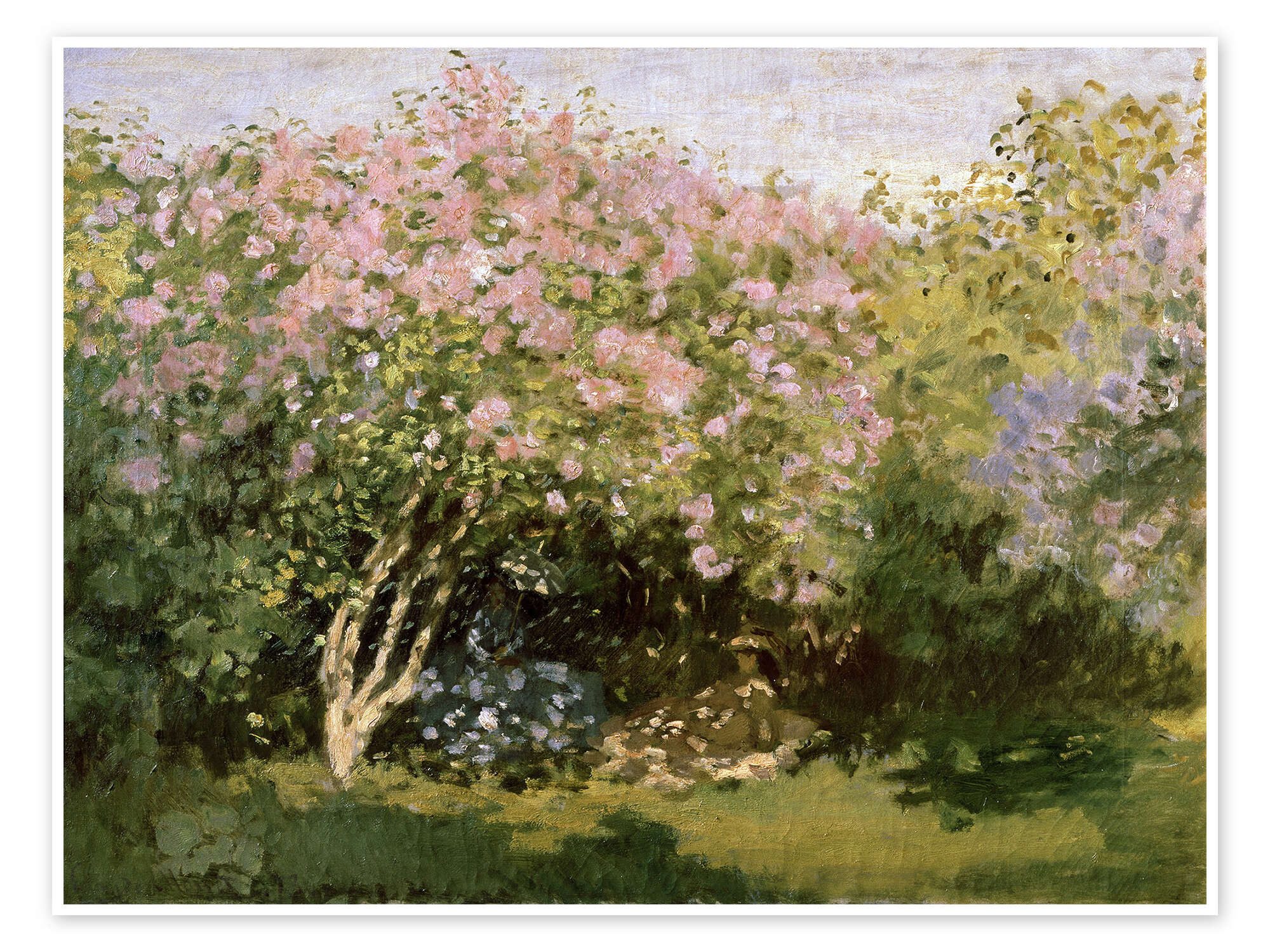 Poster Claude Monet