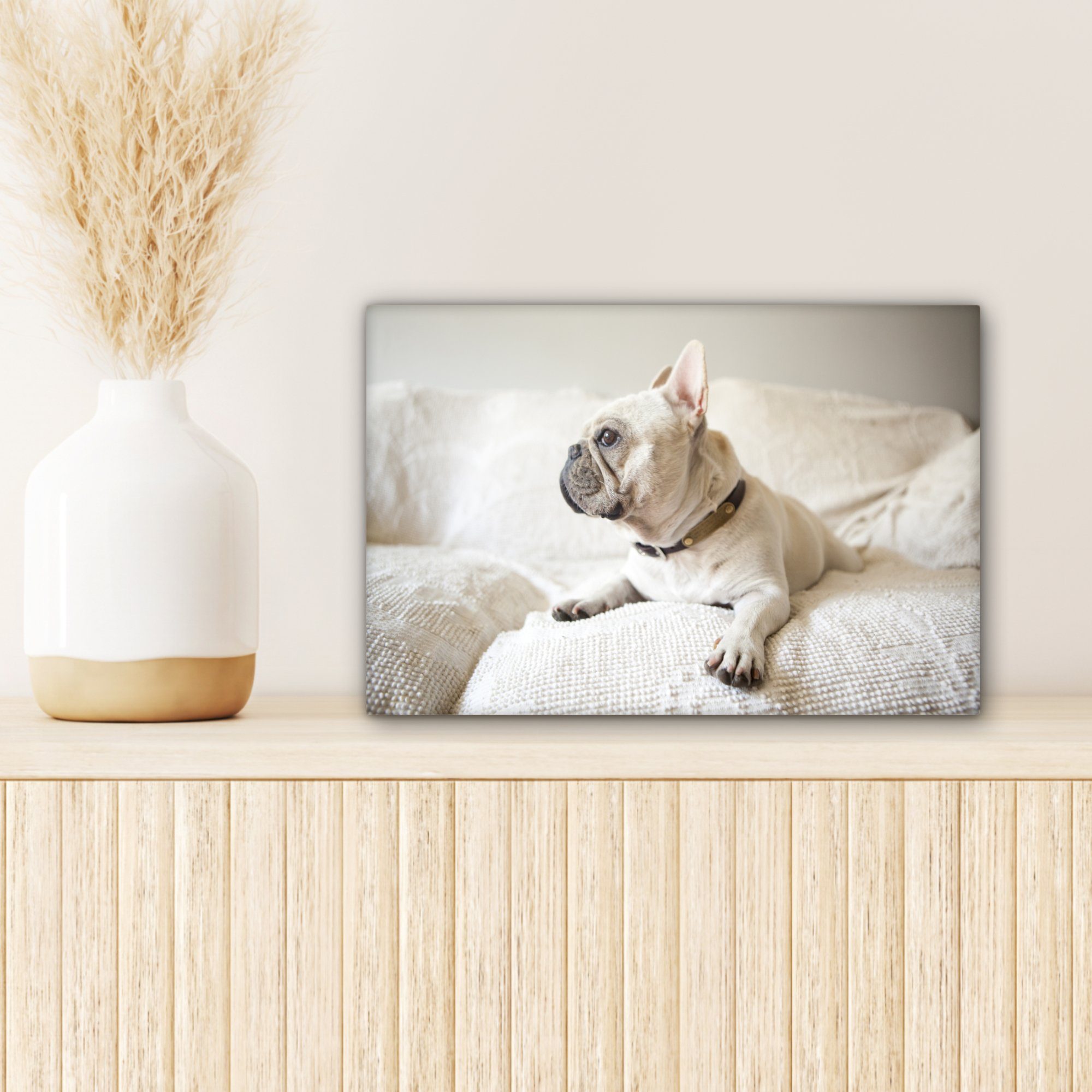 (1 Wanddeko, weiß cm Aufhängefertig, St), Leinwandbild OneMillionCanvasses® Bank, Leinwandbilder, Bulldogge Wandbild - - 30x20 Französische