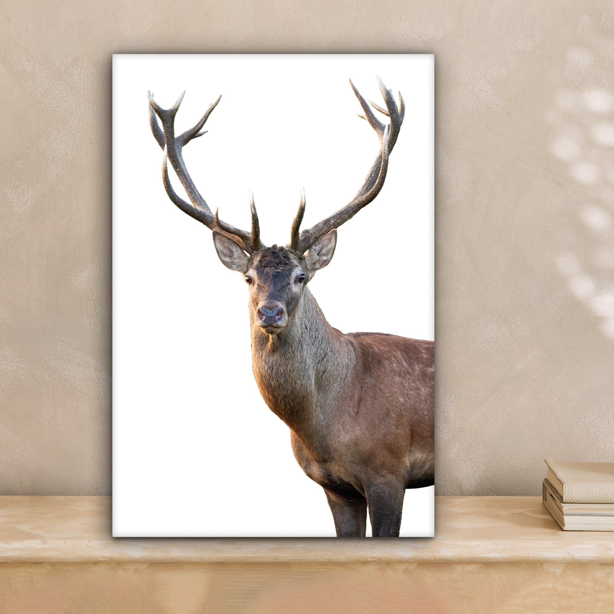 OneMillionCanvasses® Leinwandbild Hirschgeweih weiß, Fotodruck (1 günstig online kaufen