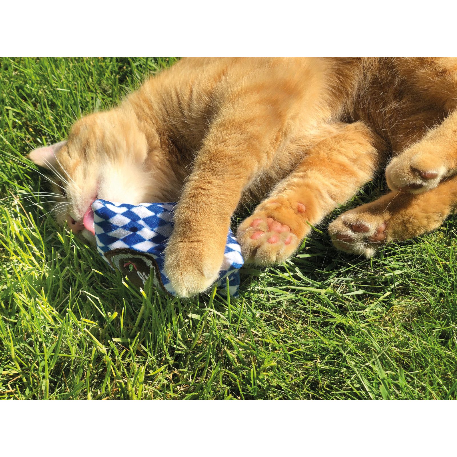 Aumüller Tierkuscheltier Baldrian Katzenspielkissen I MOG günstig online kaufen