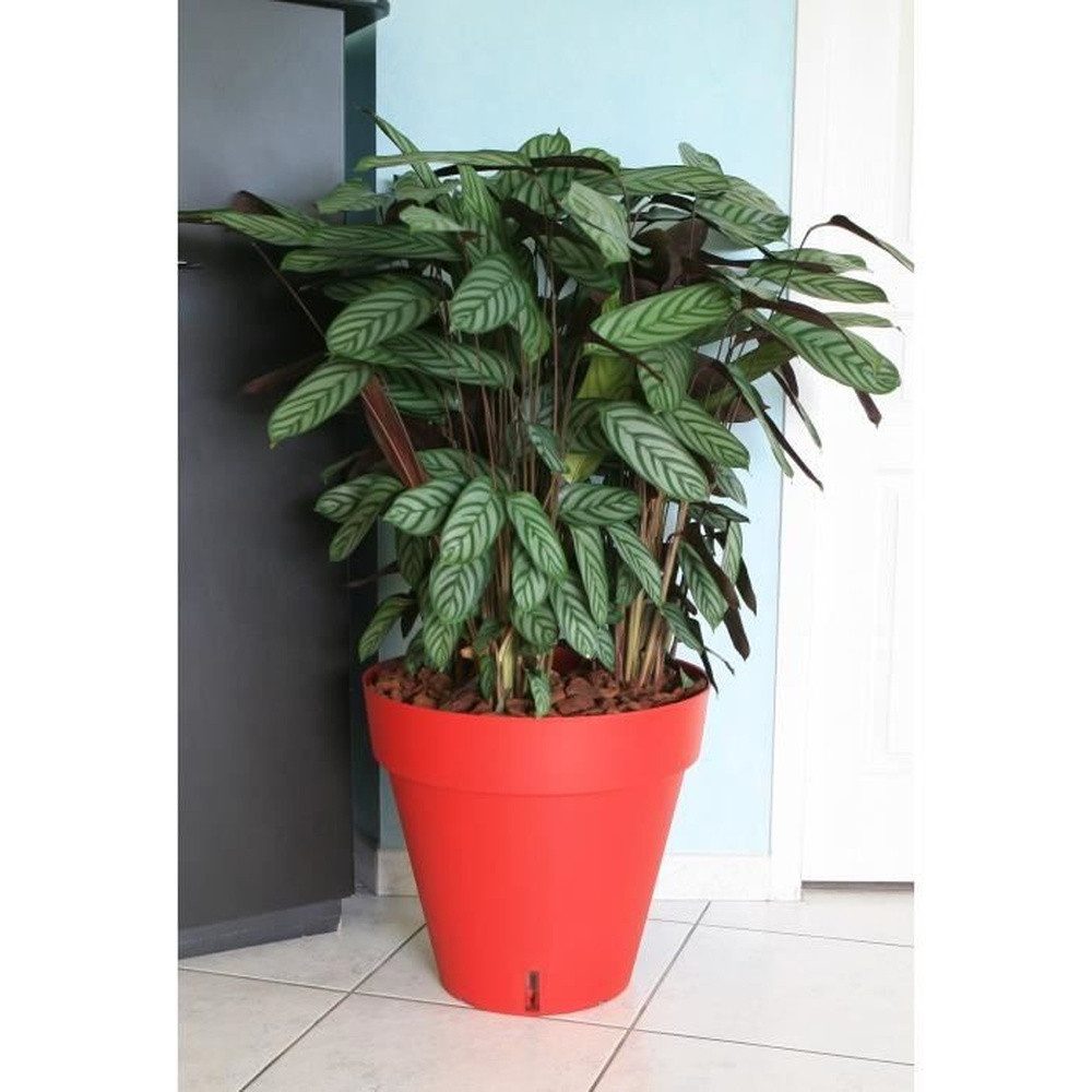 Riviera System Balkonkasten Riviera Loft Blumentopf mit Wasserreservoir – Rund – Ø 50 x H 46 cm