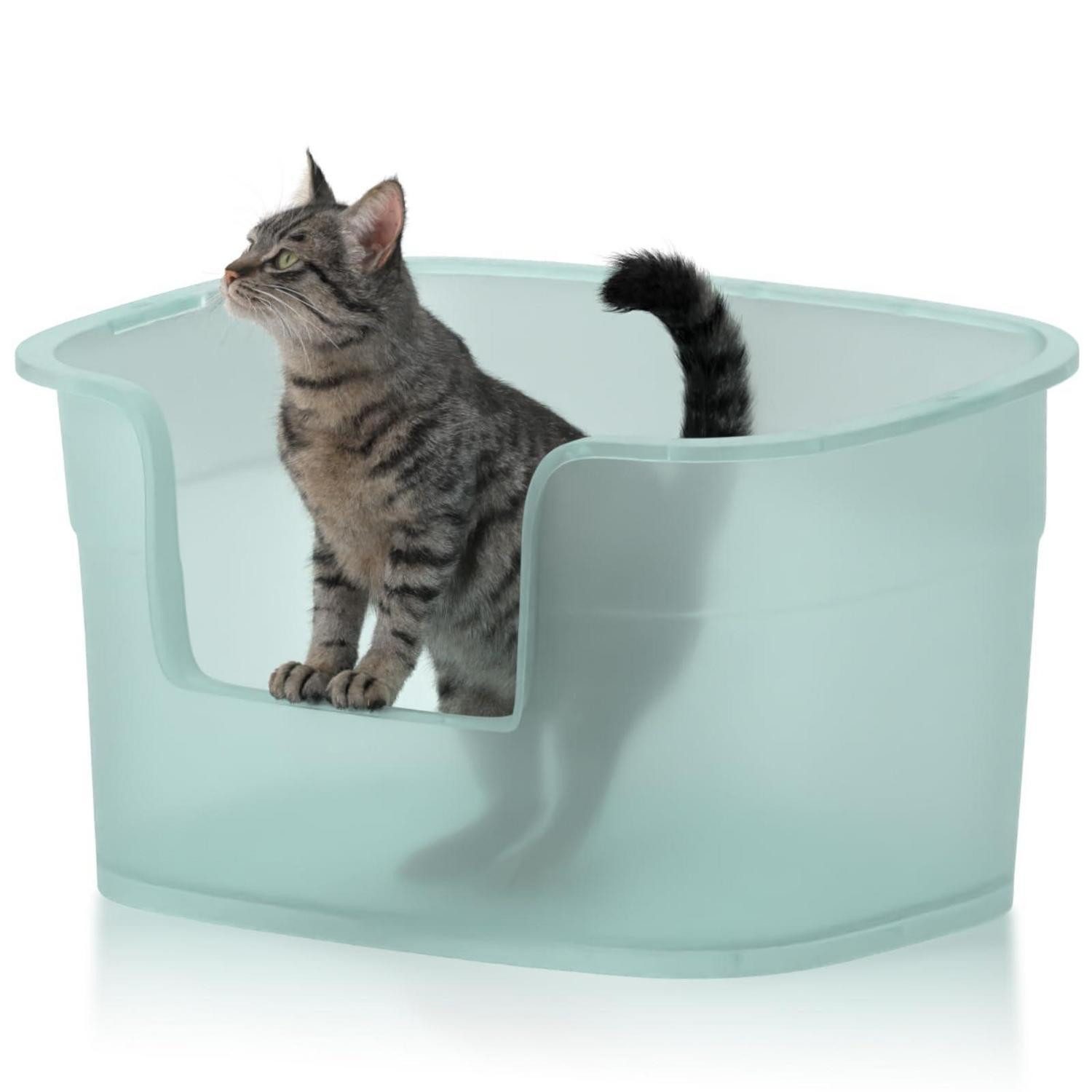 LuxusKollektion Katzentoilette Katzentoilette XL transparent Grün