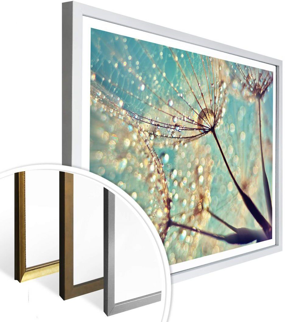 (1 Poster Blumen Pusteblume, Wall-Art St) Magische