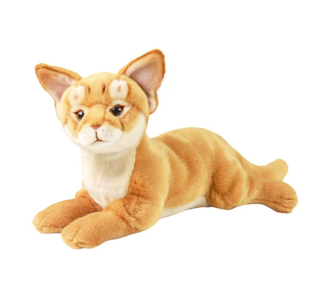 Teddys Rothenburg Kuscheltier Katze Abessinierkatze liegend 30 cm Plüschkatze
