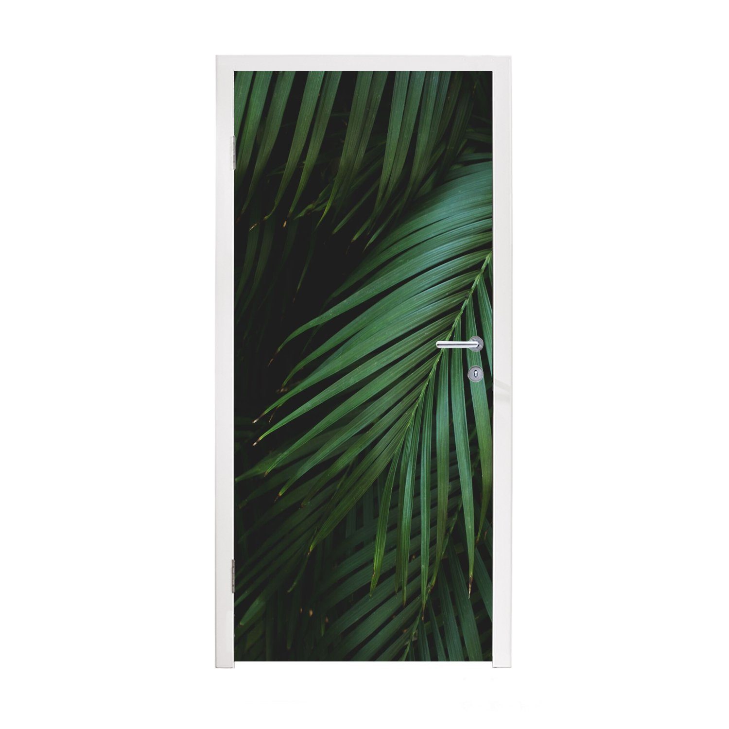 MuchoWow - Türaufkleber, Matt, 75x205 St), Palmenblätter cm Fototapete Türtapete für - Palmen Tür, Tropisch, bedruckt, (1
