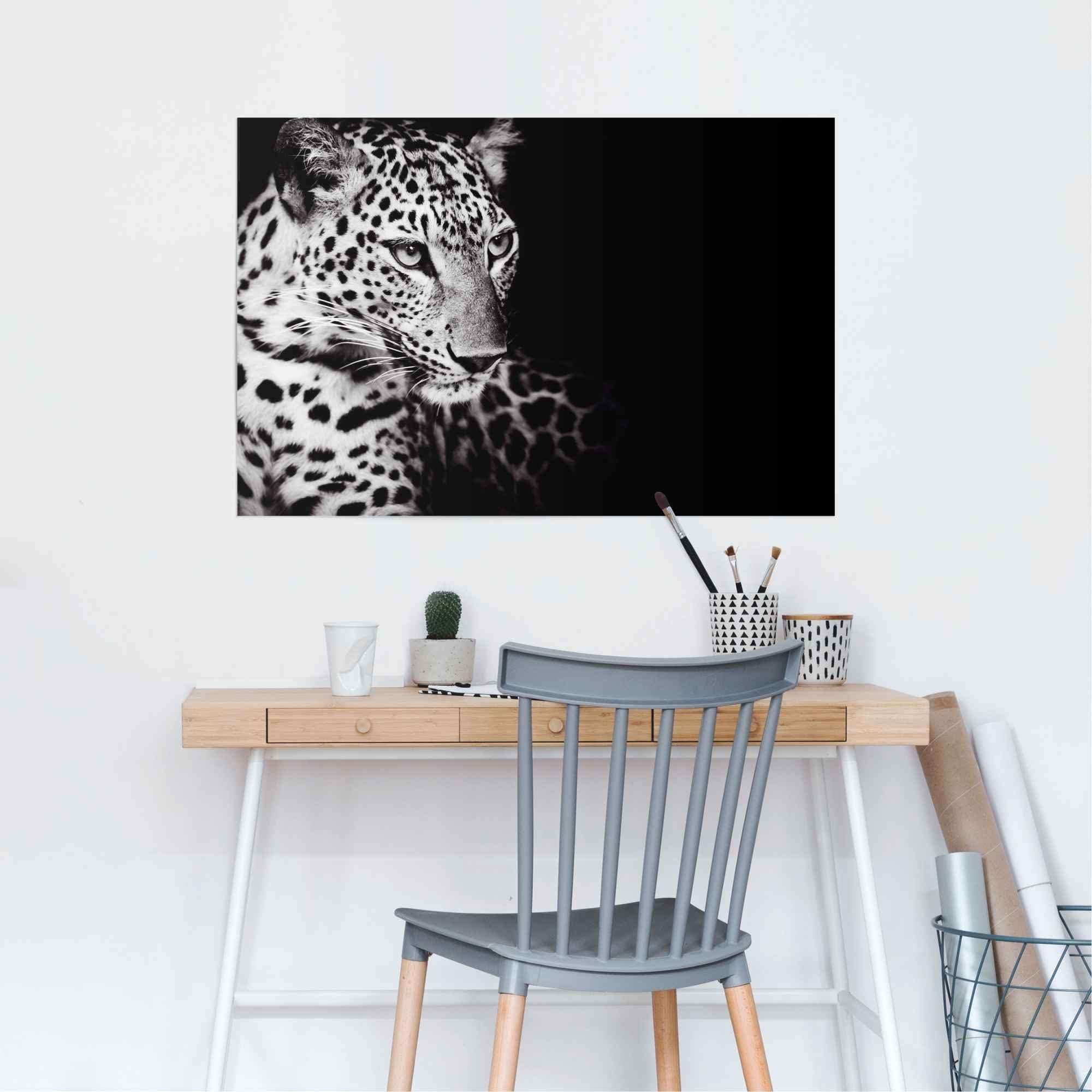 St) Reinders! Poster Natur (1 der Leopard, Könige