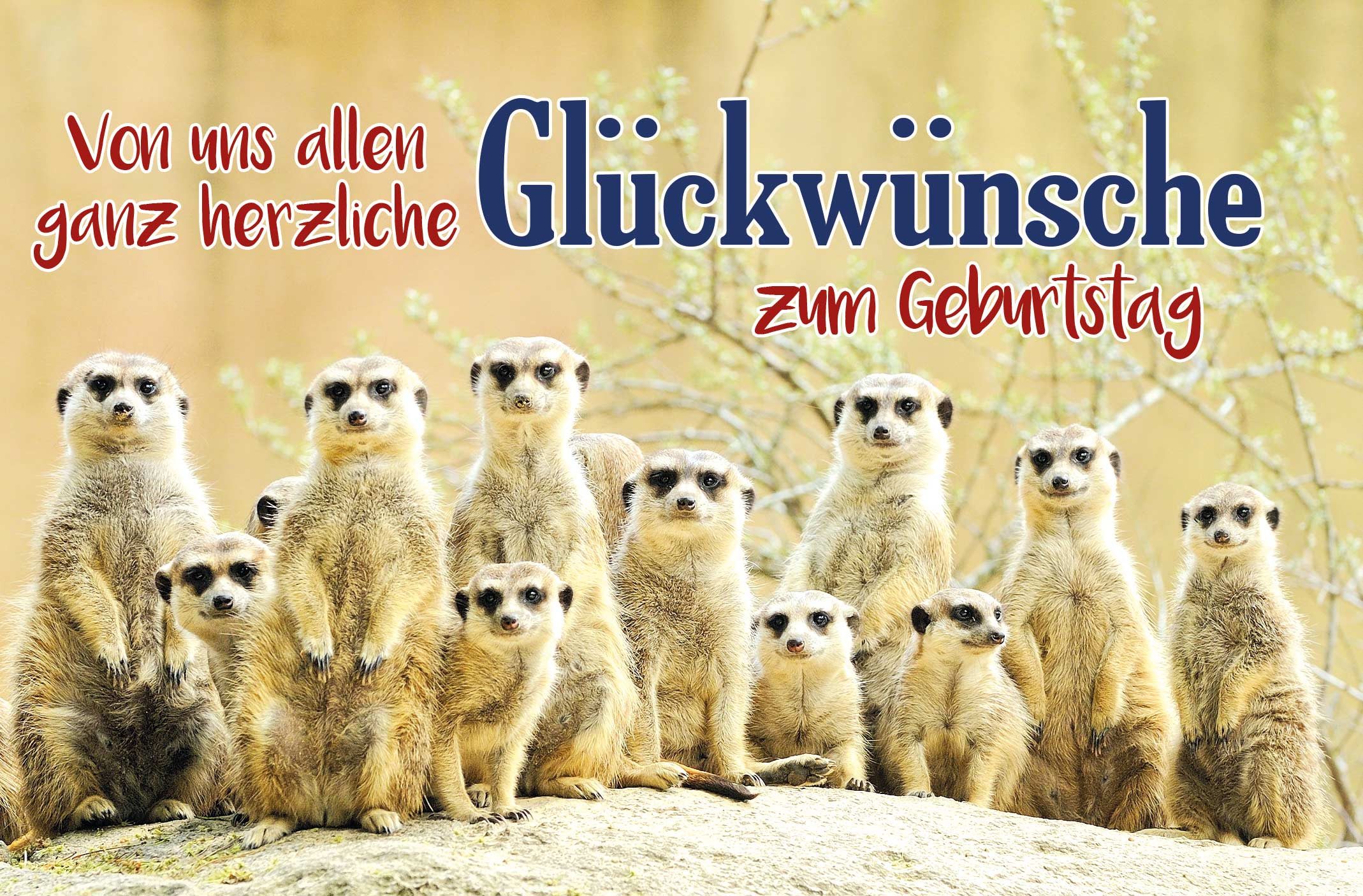 Grußkarten Geburtstag - Glückwunschkarte im Format 11,5 x 17 cm mit Umschlag