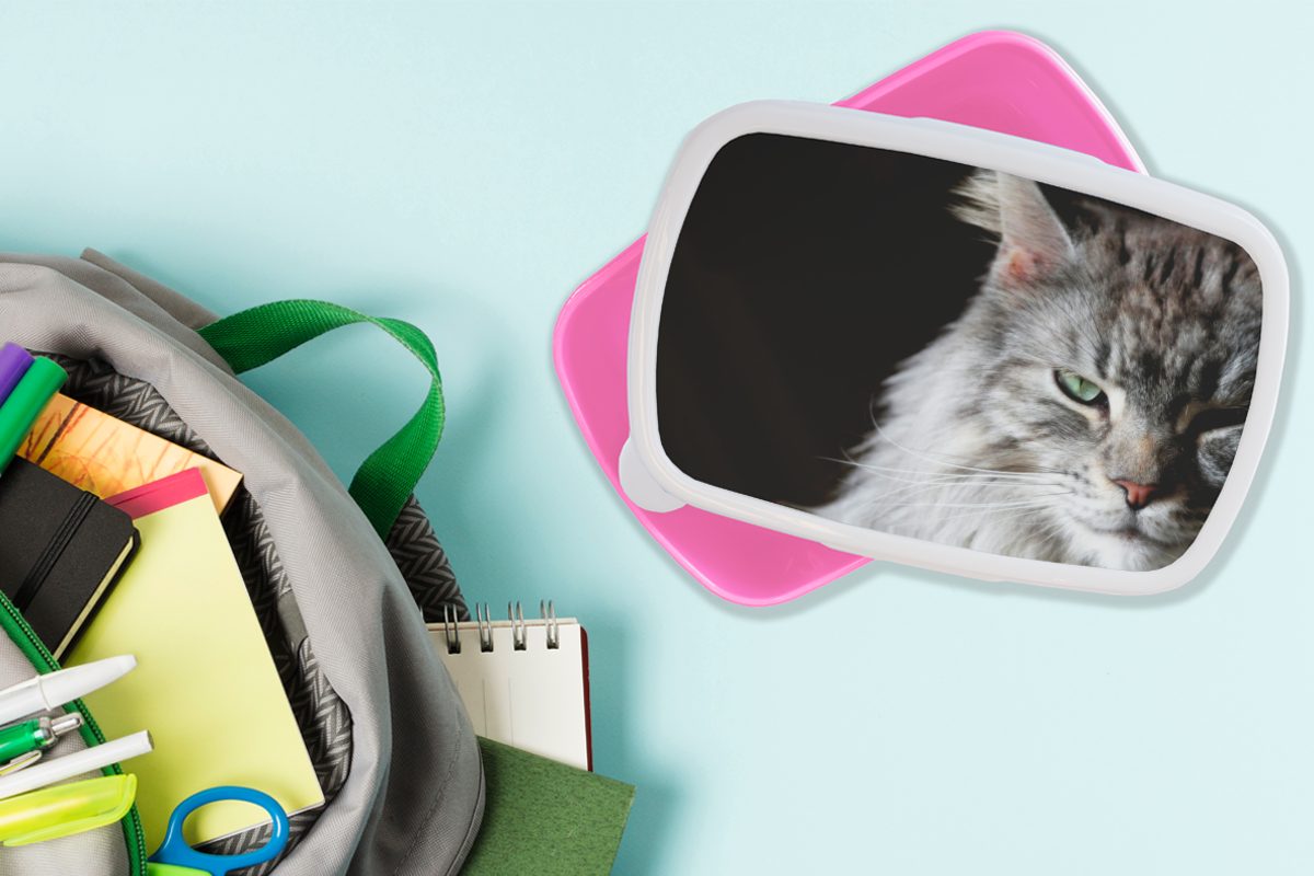 MuchoWow Lunchbox Porträt einer Kunststoff, Katze, Kinder, Brotdose graufarbigen Brotbox Snackbox, für Coon Mädchen, rosa (2-tlg), Maine Kunststoff Erwachsene