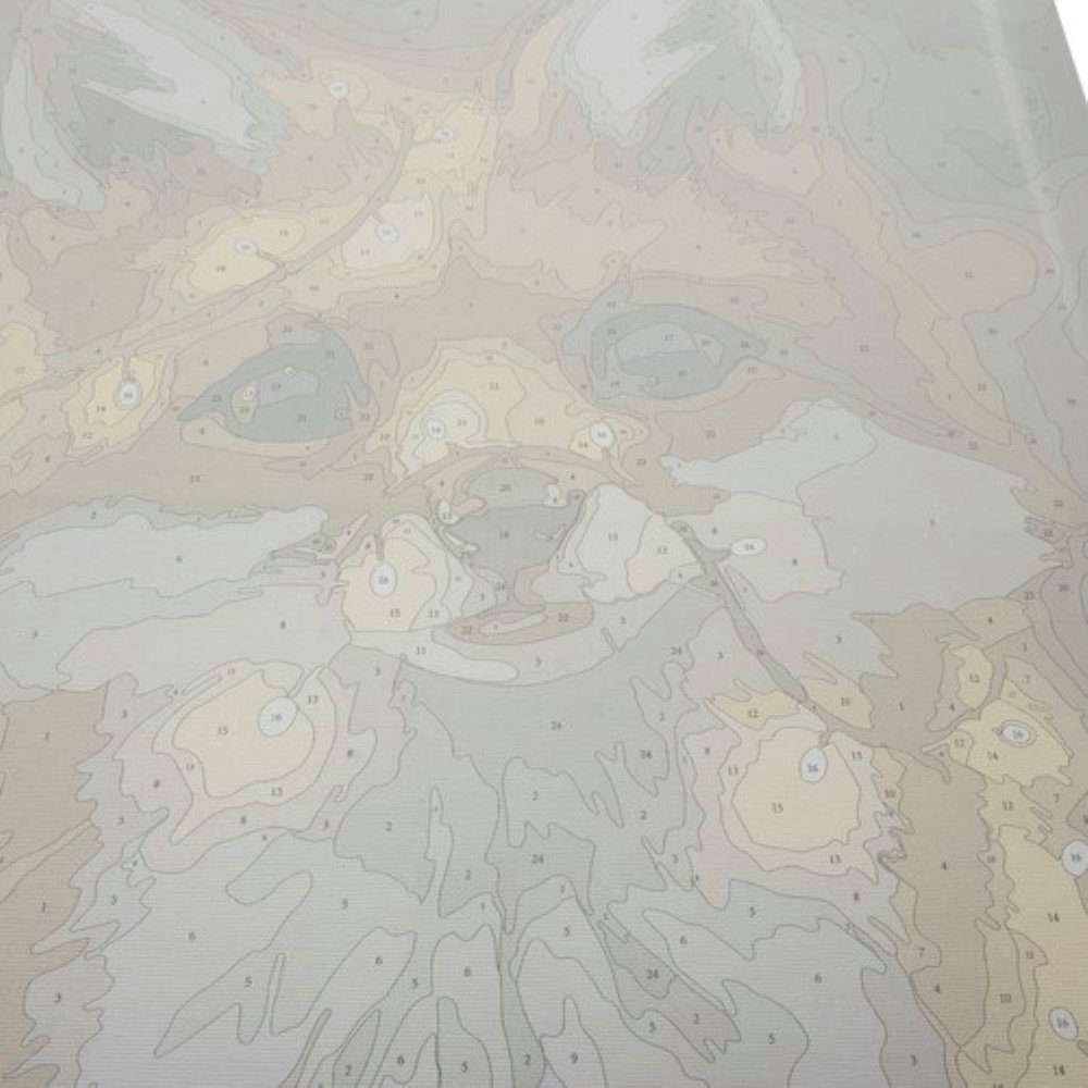 MAALEO Malen nach Zahlen Faszinierender Fuchsblick, Malen-nach-Zahlen