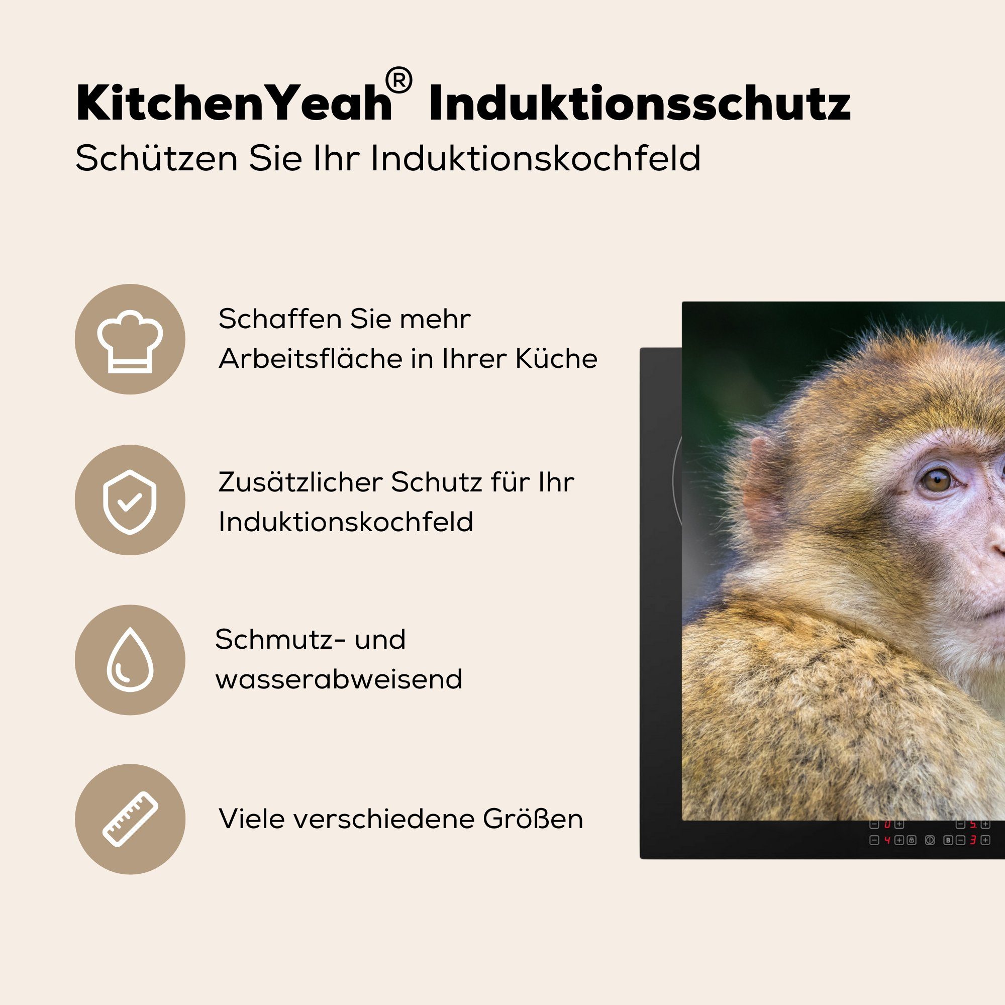 Arbeitsplatte - Herdblende-/Abdeckplatte für Affe Porträt, küche 78x78 - Ceranfeldabdeckung, Vinyl, MuchoWow cm, Makake tlg), (1