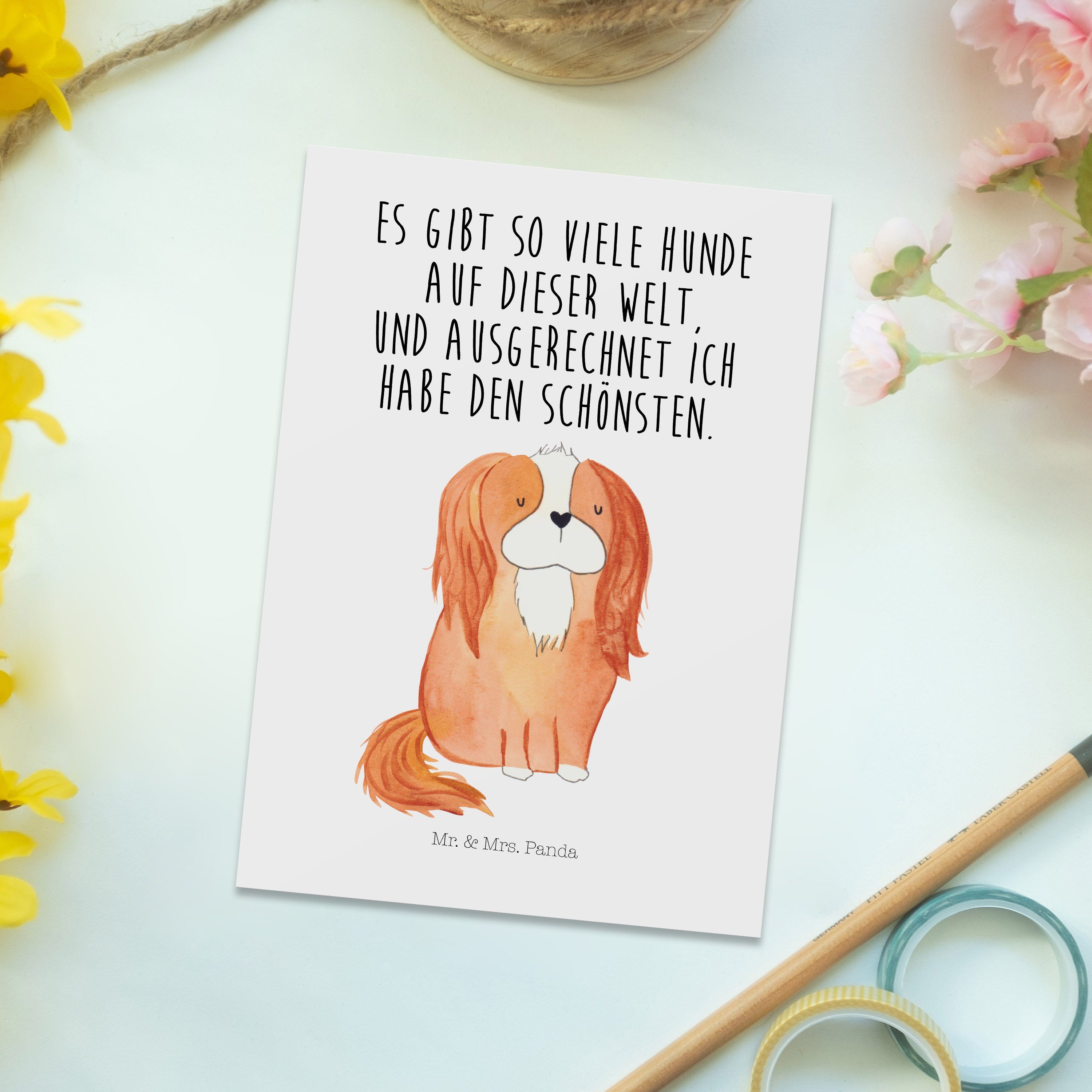 King Weiß Charles Mrs. Geschenkkarte, Postkarte Hunde Mr. Geschenk, Panda - Cavalier & - Spaniel