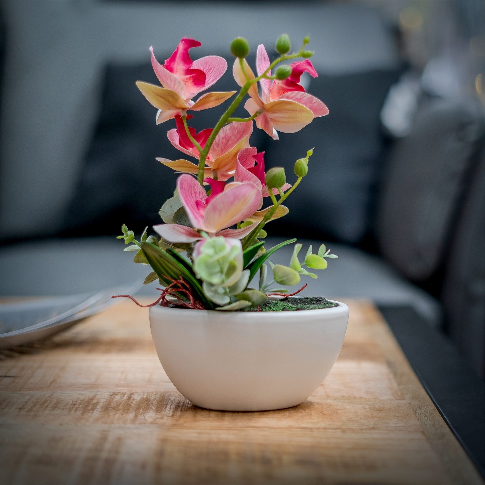 Kunstblume Kunstblume Orchidee pink in Schale günstig online kaufen