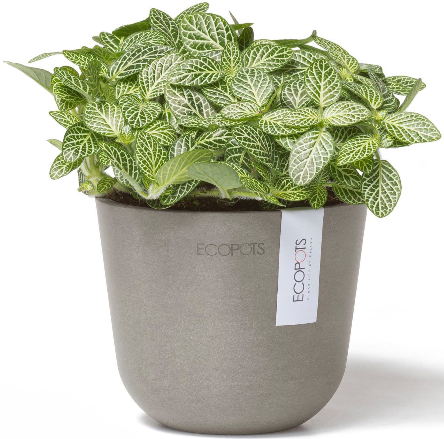 ECOPOTS Blumentopf Oslo Mini 11,5 Taupe, für den Innenbereich günstig online kaufen