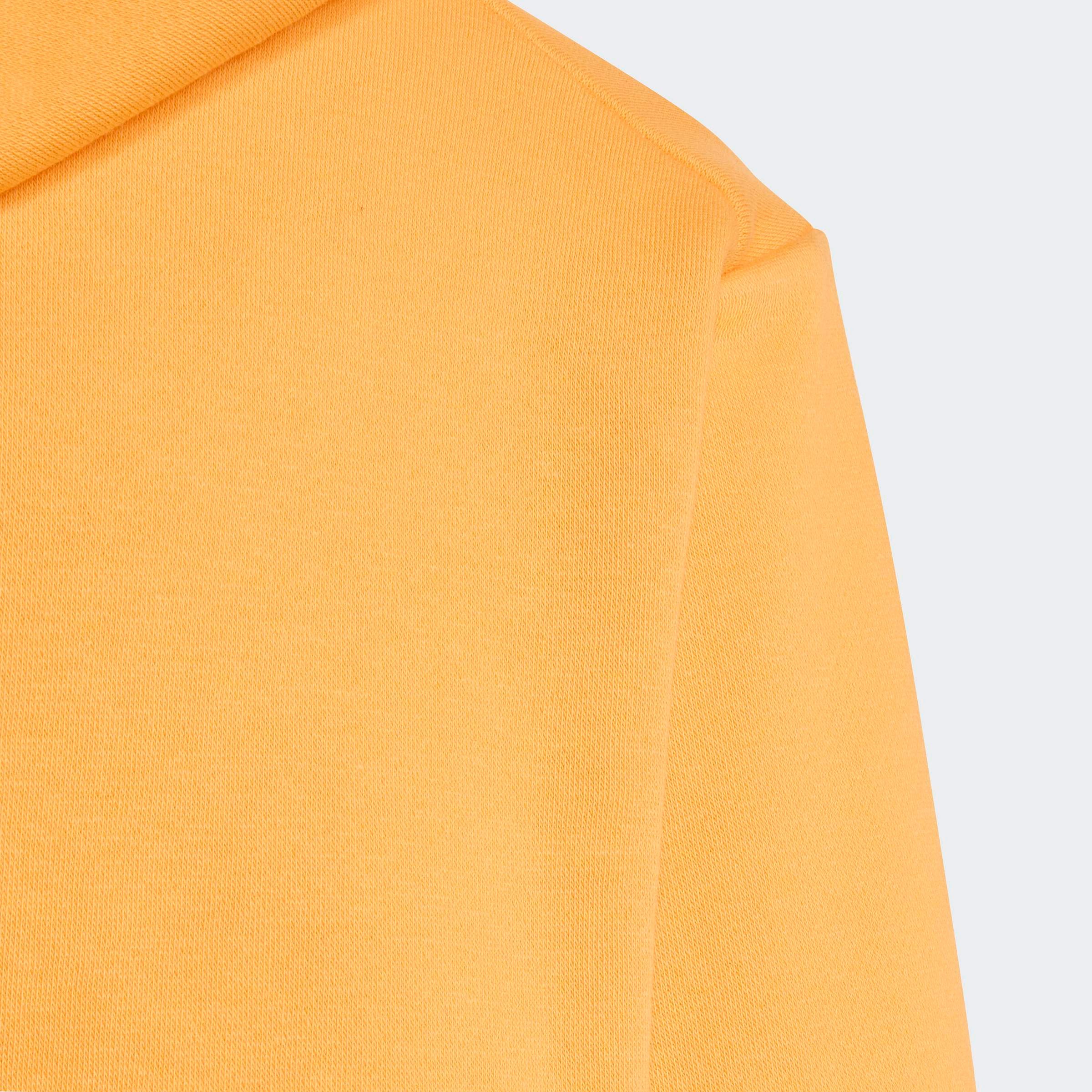 adidas TERREX Kapuzensweatshirt K MT LOGO HD