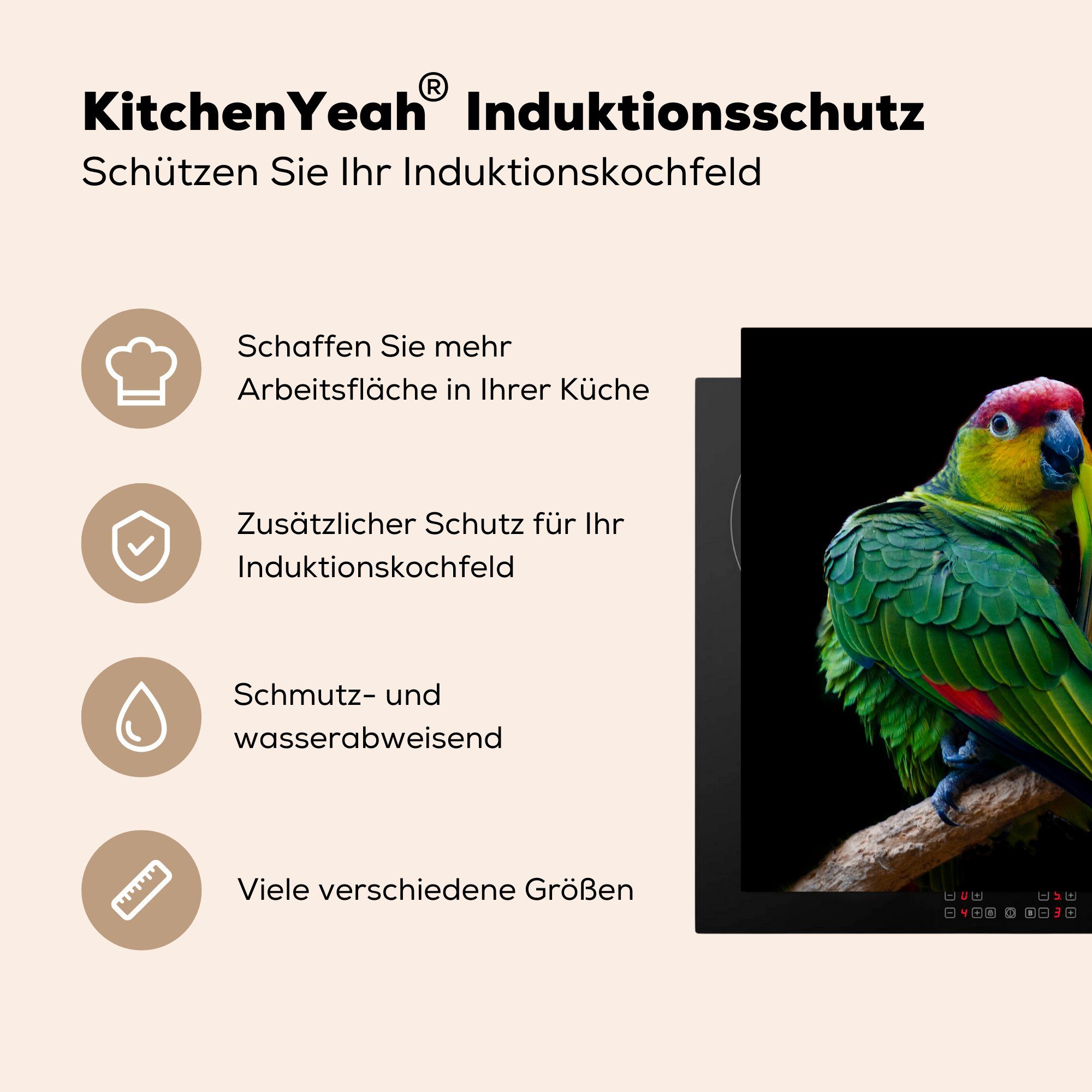 MuchoWow Herdblende-/Abdeckplatte Papagei Druck, Vinyl, 59x52 cm, küche, Induktionsmatte die Ceranfeldabdeckung tlg), für (1