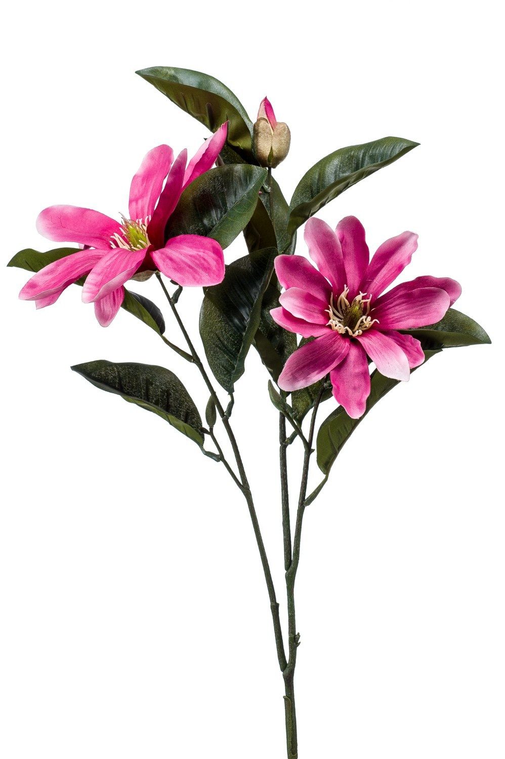 Kunstzweig Künstliche Magnolie BEGUR, pink, 80cm Magnolie, artplants, Höhe 80.0 cm