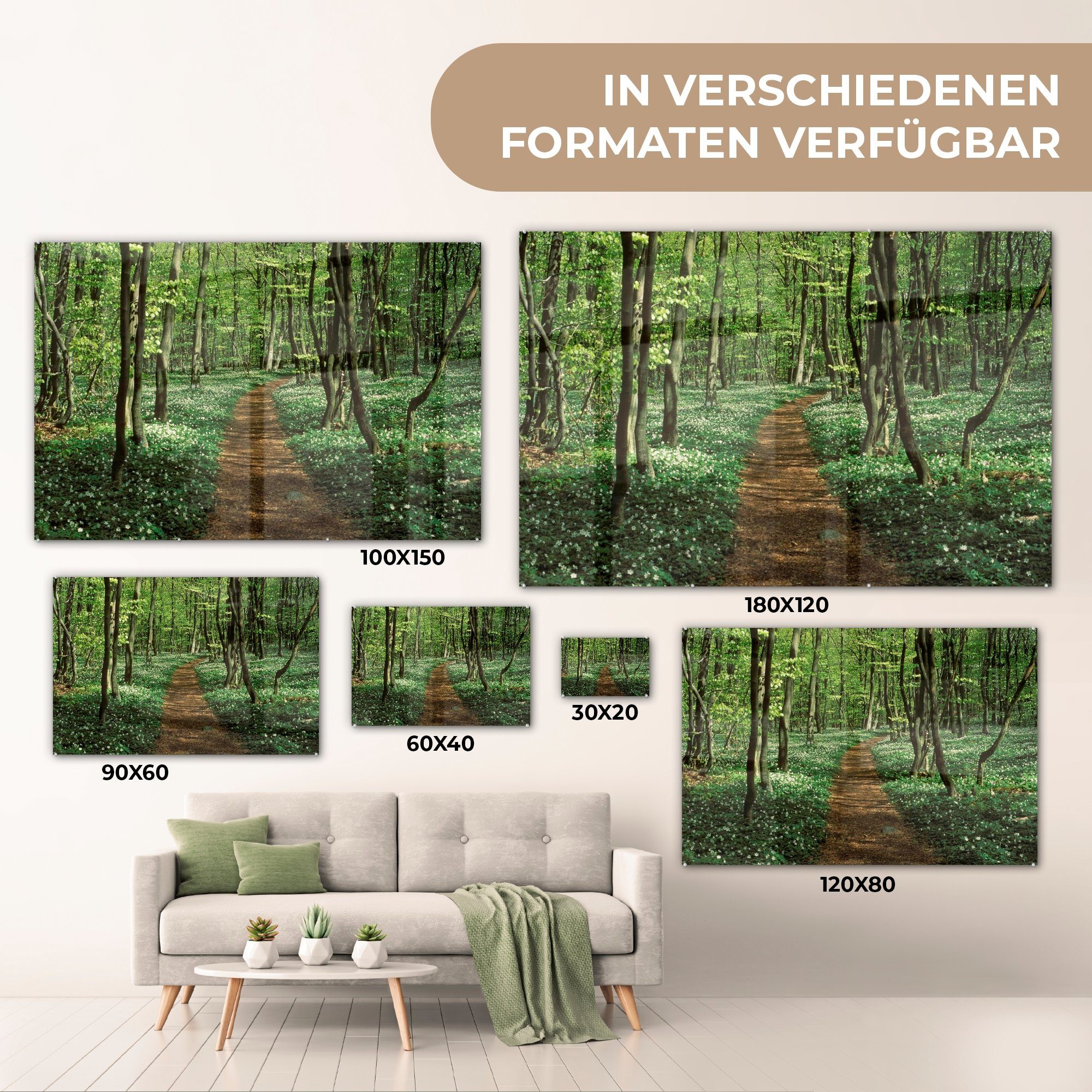 Stenshuvud-Nationalpark, St), Buchenwald Acrylglasbild (1 Acrylglasbilder & MuchoWow Schweden, im Schlafzimmer Wohnzimmer