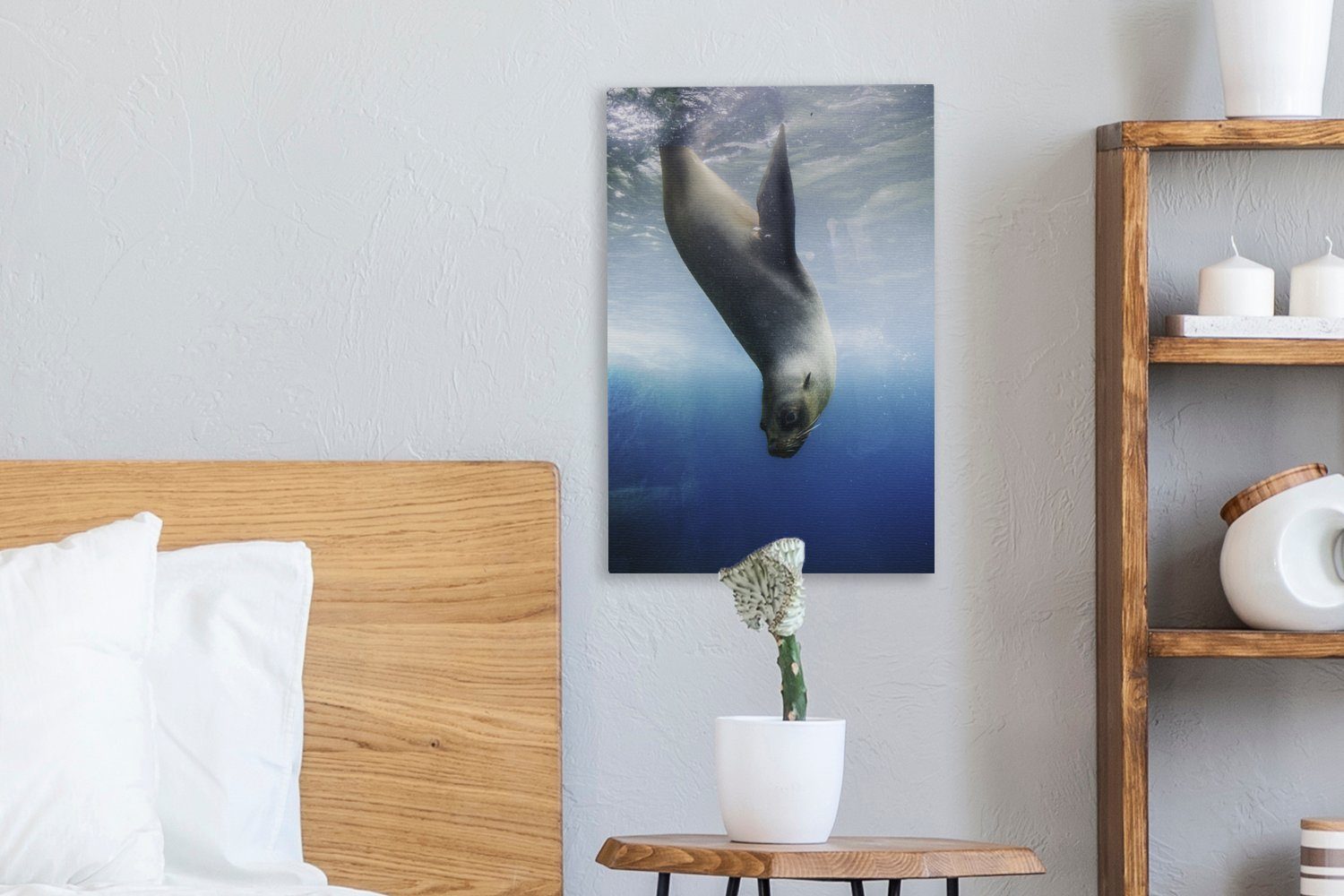 OneMillionCanvasses® Leinwandbild bespannt Gemälde, 20x30 taucht St), ins Wasser, fertig (1 Zackenaufhänger, inkl. Seelöwe cm Leinwandbild