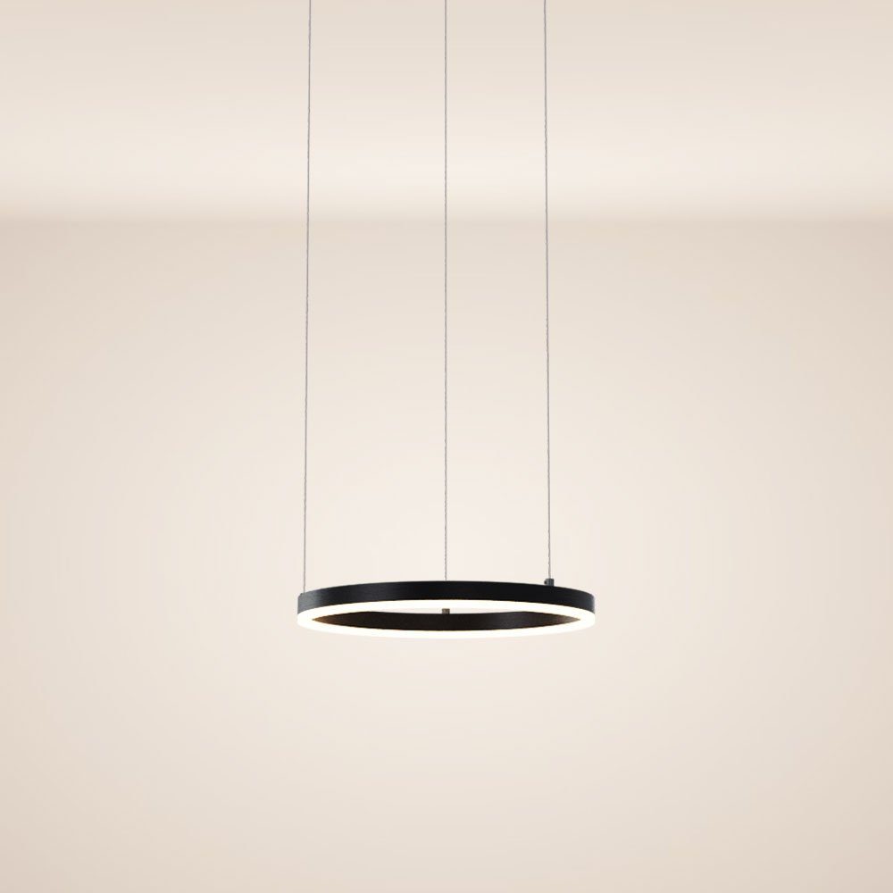 s.luce Pendelleuchte LED Pendelleuchte Ring 40 günstig online kaufen
