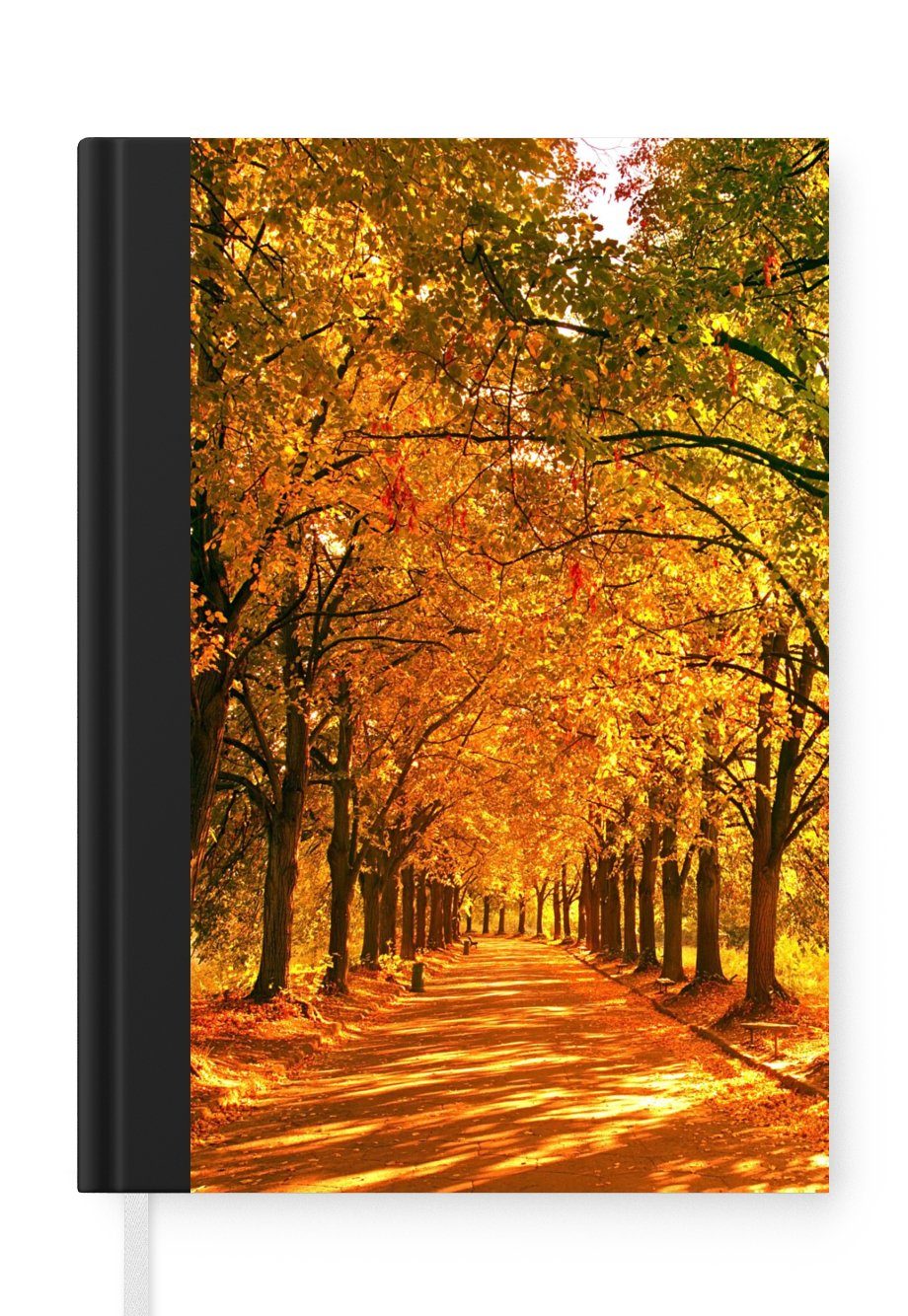 MuchoWow Notizbuch Wald - Herbst - Jahreszeiten - Ländlich, Journal, Merkzettel, Tagebuch, Notizheft, A5, 98 Seiten, Haushaltsbuch