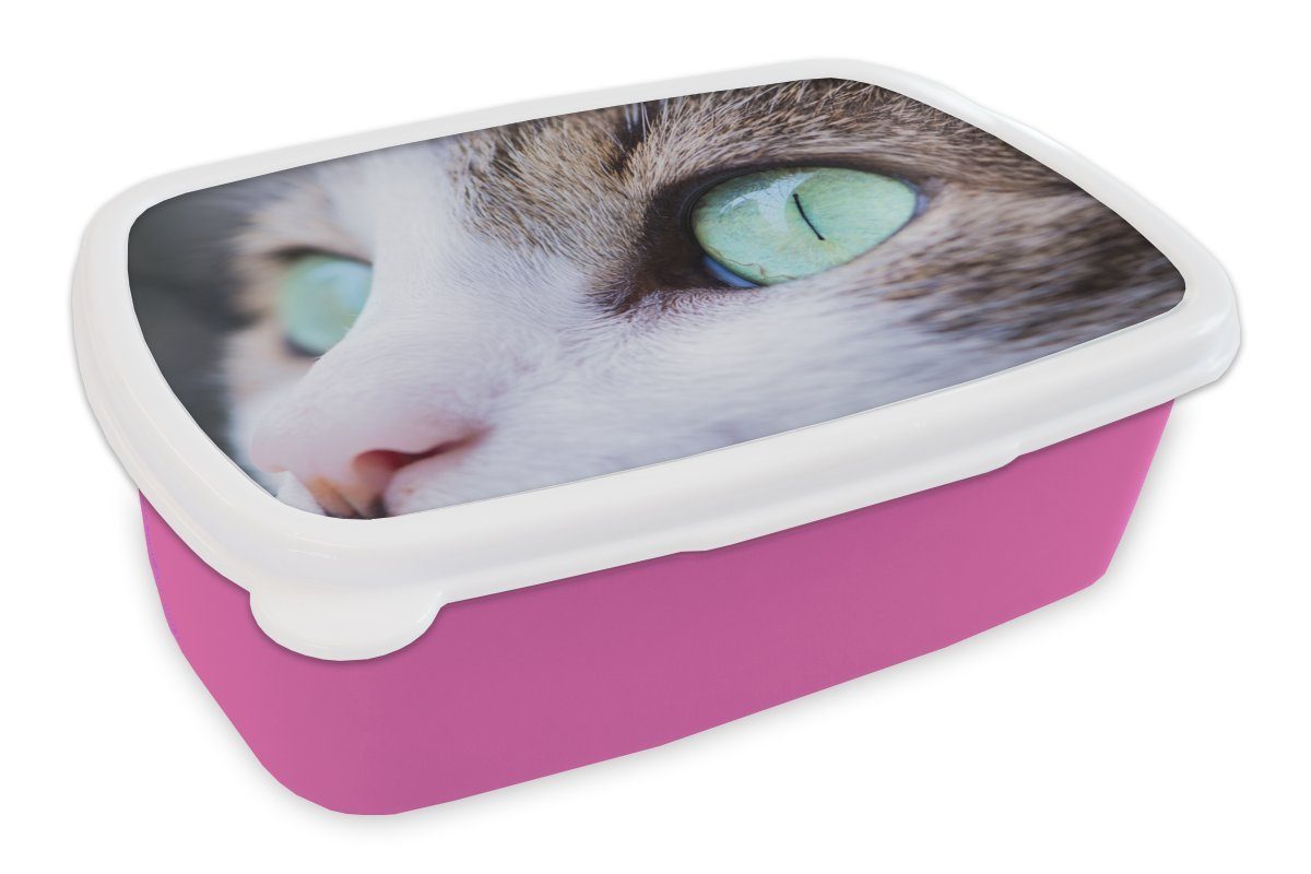 Augen, Lunchbox für Kunststoff Snackbox, Katze MuchoWow Kunststoff, (2-tlg), - Brotbox Erwachsene, - Brotdose Mädchen, Kinder, rosa Licht