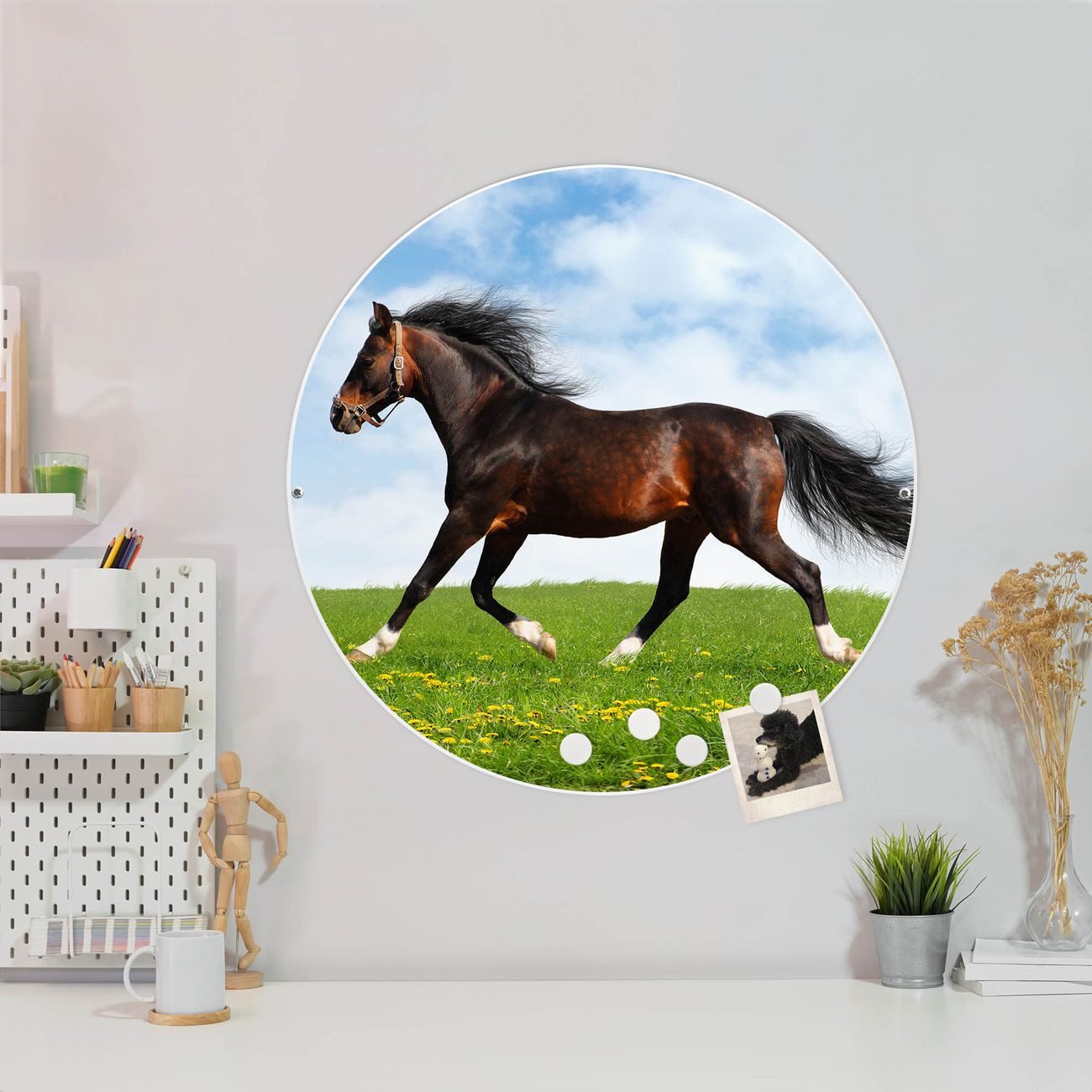 banjado Magnettafel Stahl Rund Pferd, (inkl. günstig online kaufen