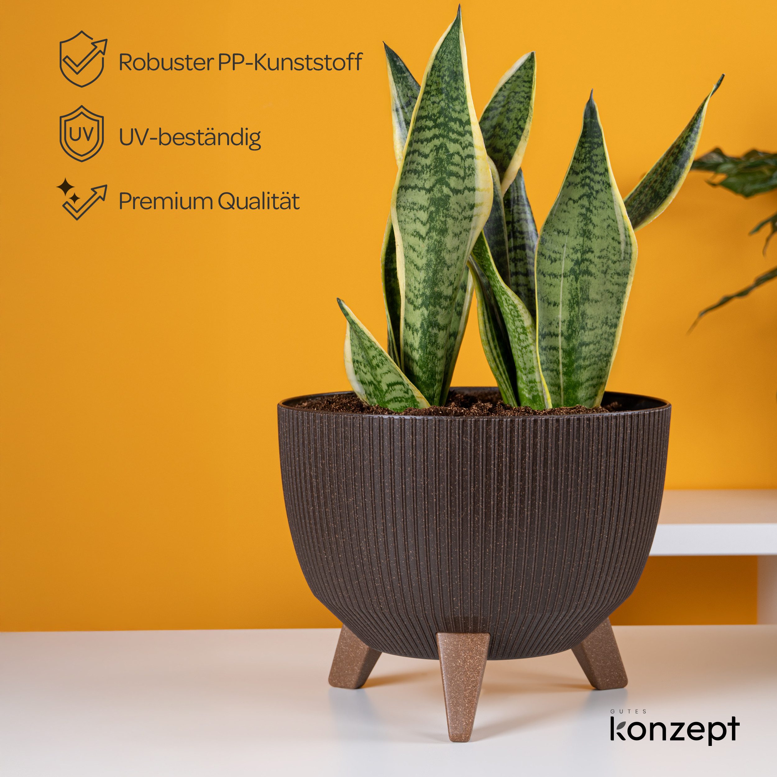 KONZEPT Blumentopf Pflanzschale 24/29cm Blumentopf mit Füßen, mit Wasserabf günstig online kaufen
